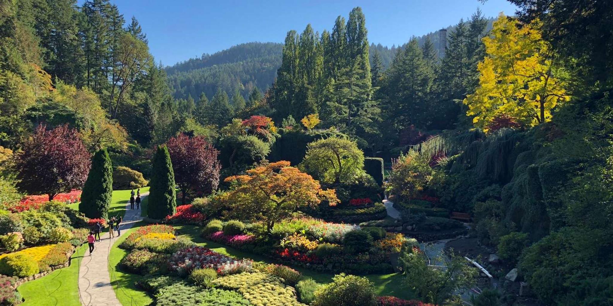 Seattle High-Speed Ferry to Victoria - Image 4
