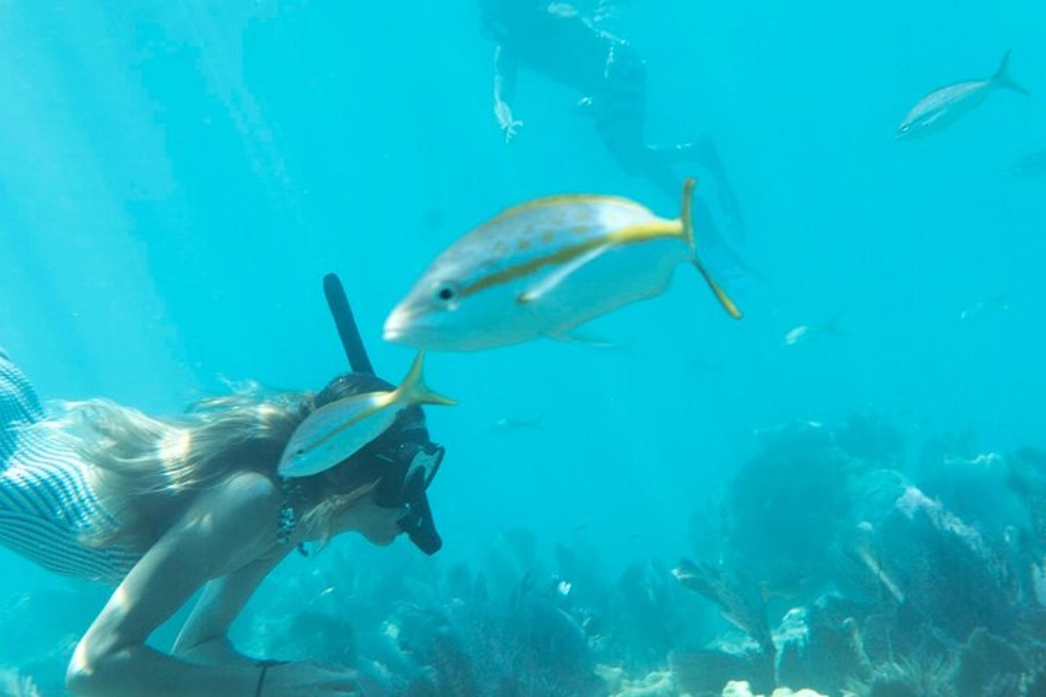 Key West Reef Snorkel and Sunset Sail - Image 6