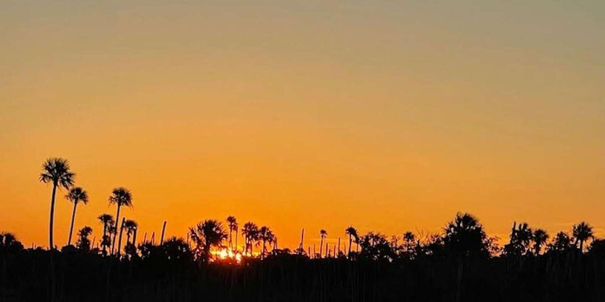 Crystal River Sunset Cruise in Kings Bay - Image 5