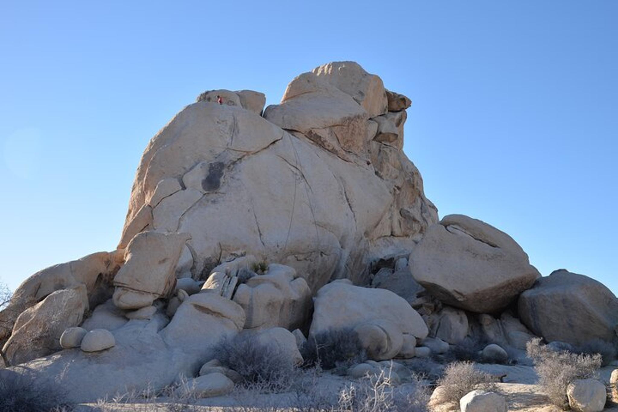 Los Angeles Joshua Tree National Park Private Tour 2 Days - Image 5