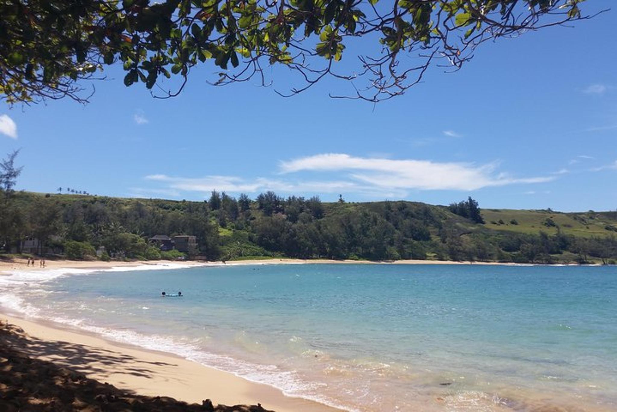 Kauai North Shore Private Tour - Image 5