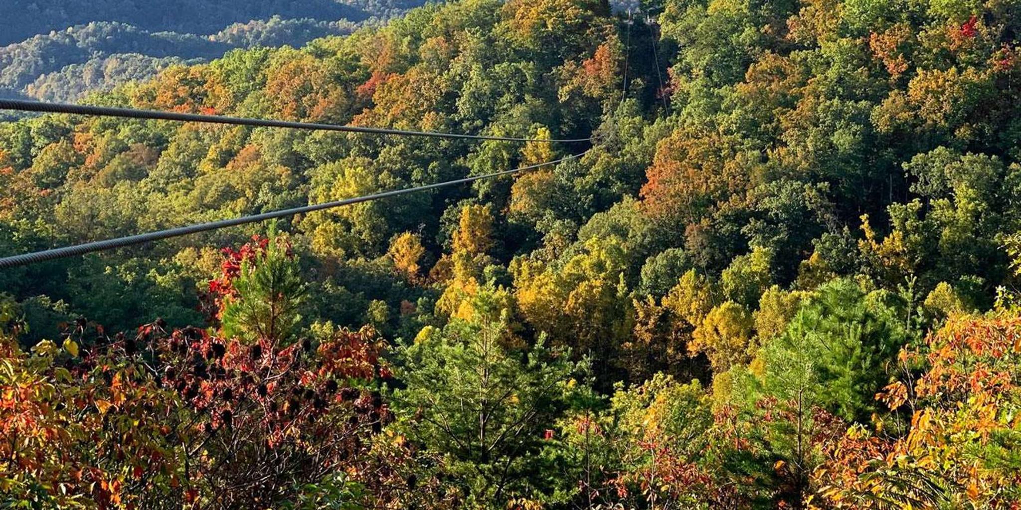 Sevierville 7-Line Zipline Tour - Image 6