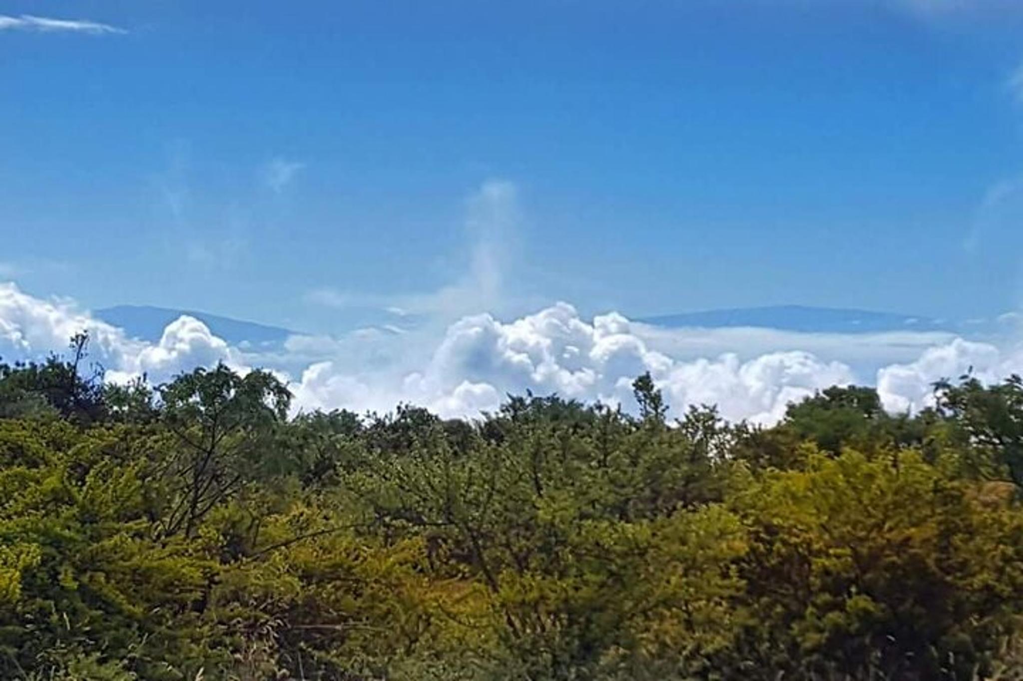 Maui Redwood Hiking Experience - Image 5
