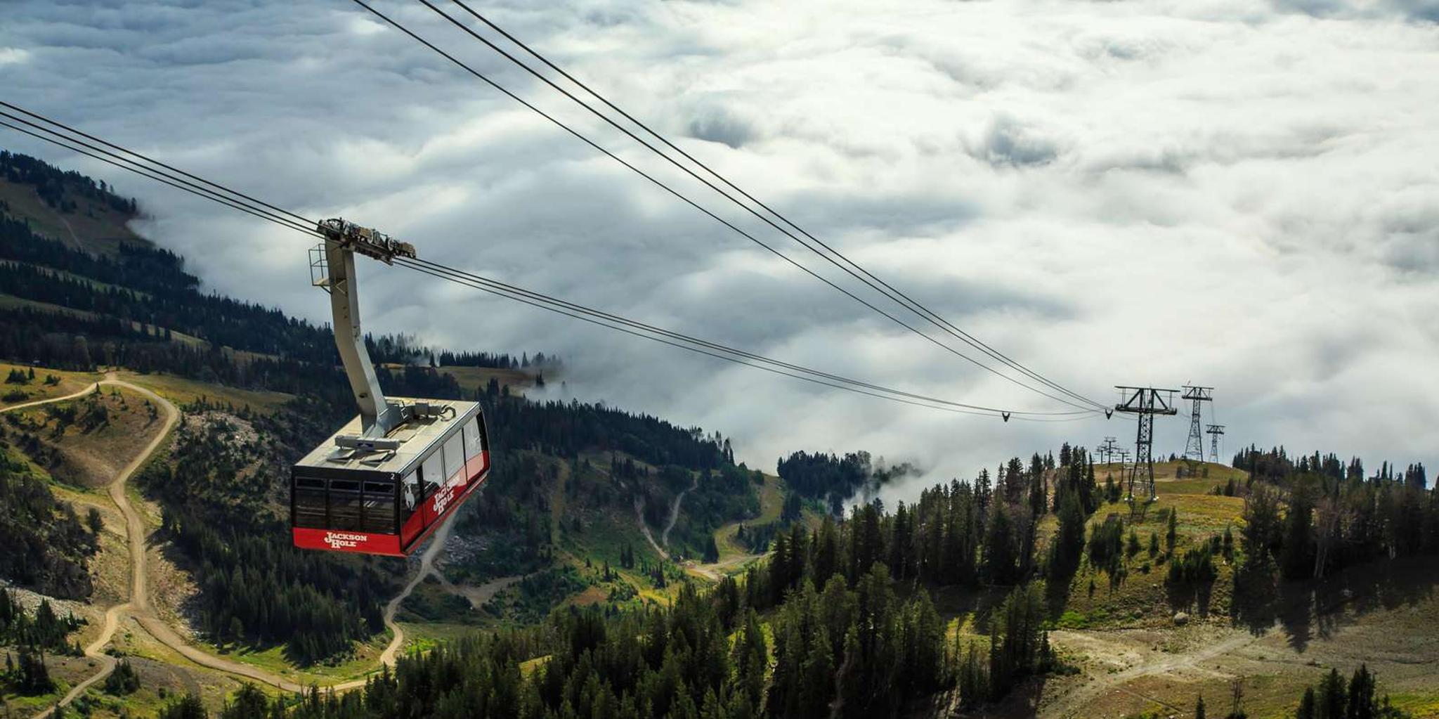 Jackson Hole Aerial Tram and Gondolas Sightseeing - Image 3