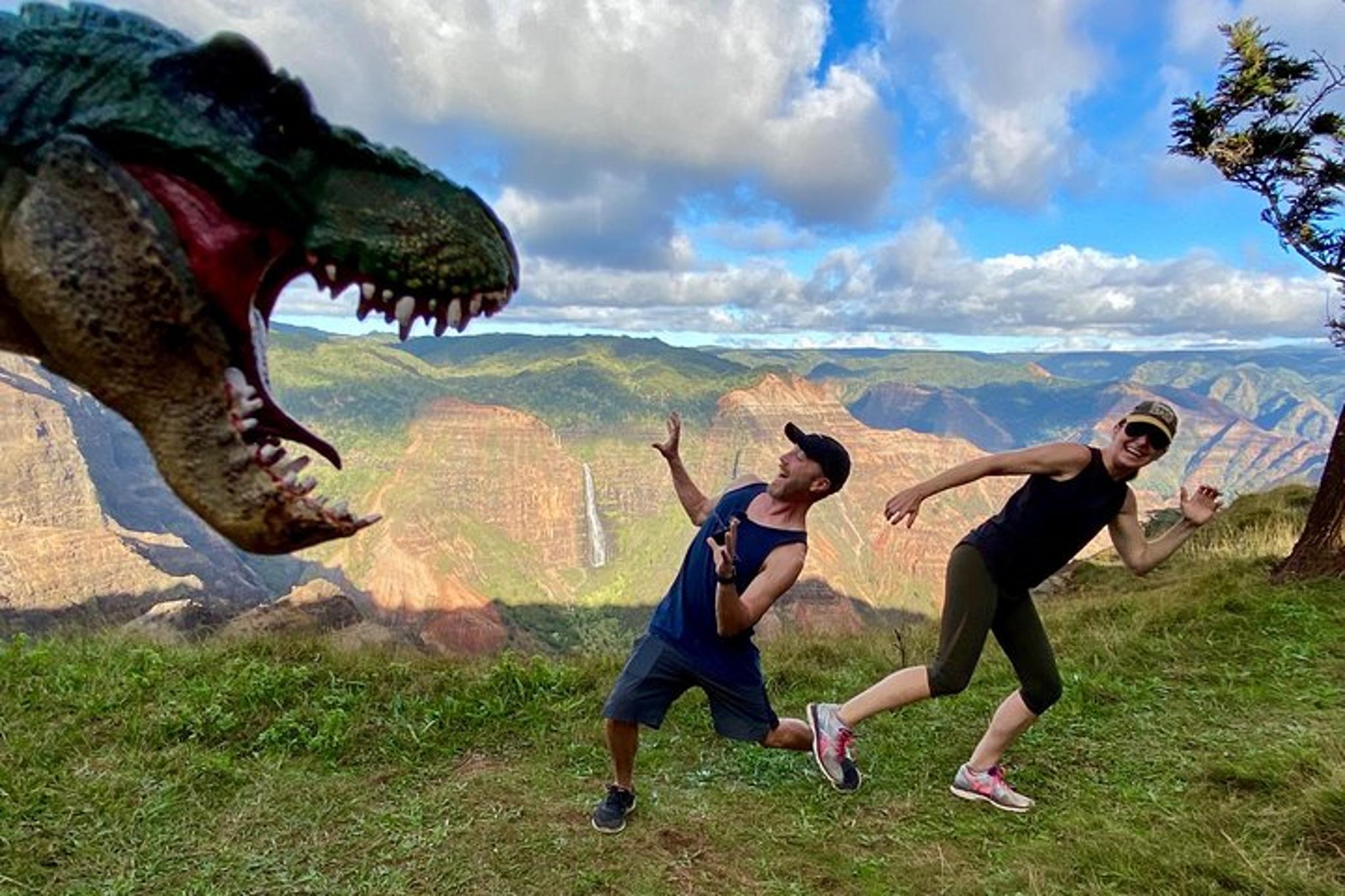 Waimea Canyon Downhill Bike Ride - Image 6