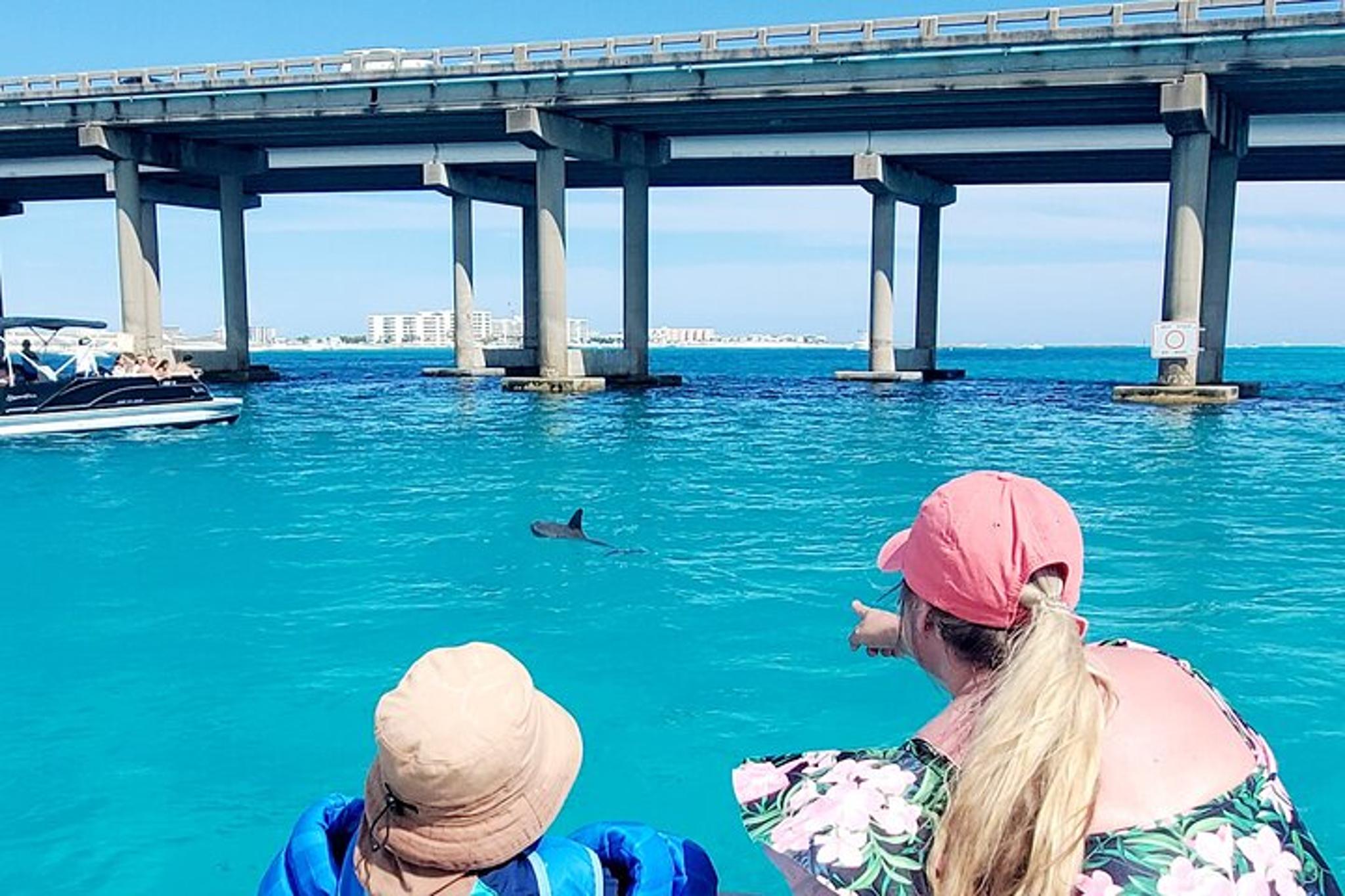 Destin Pontoon Tour to Crab Island 4 hr - Image 4
