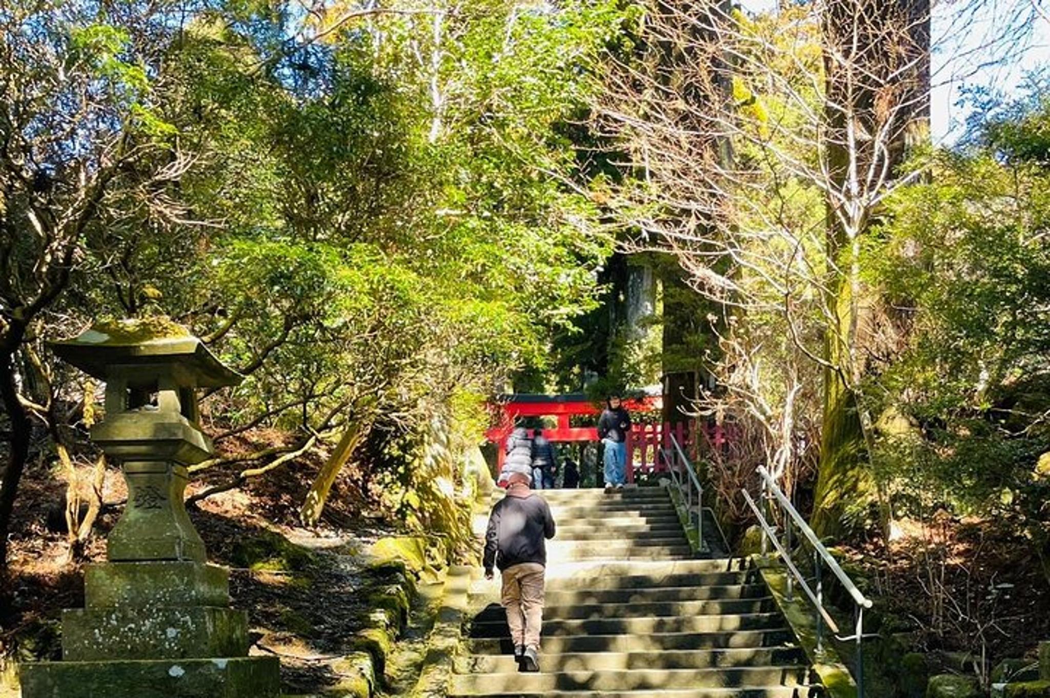 Tokyo Mount Fuji & Hakone Private Tour - Image 3