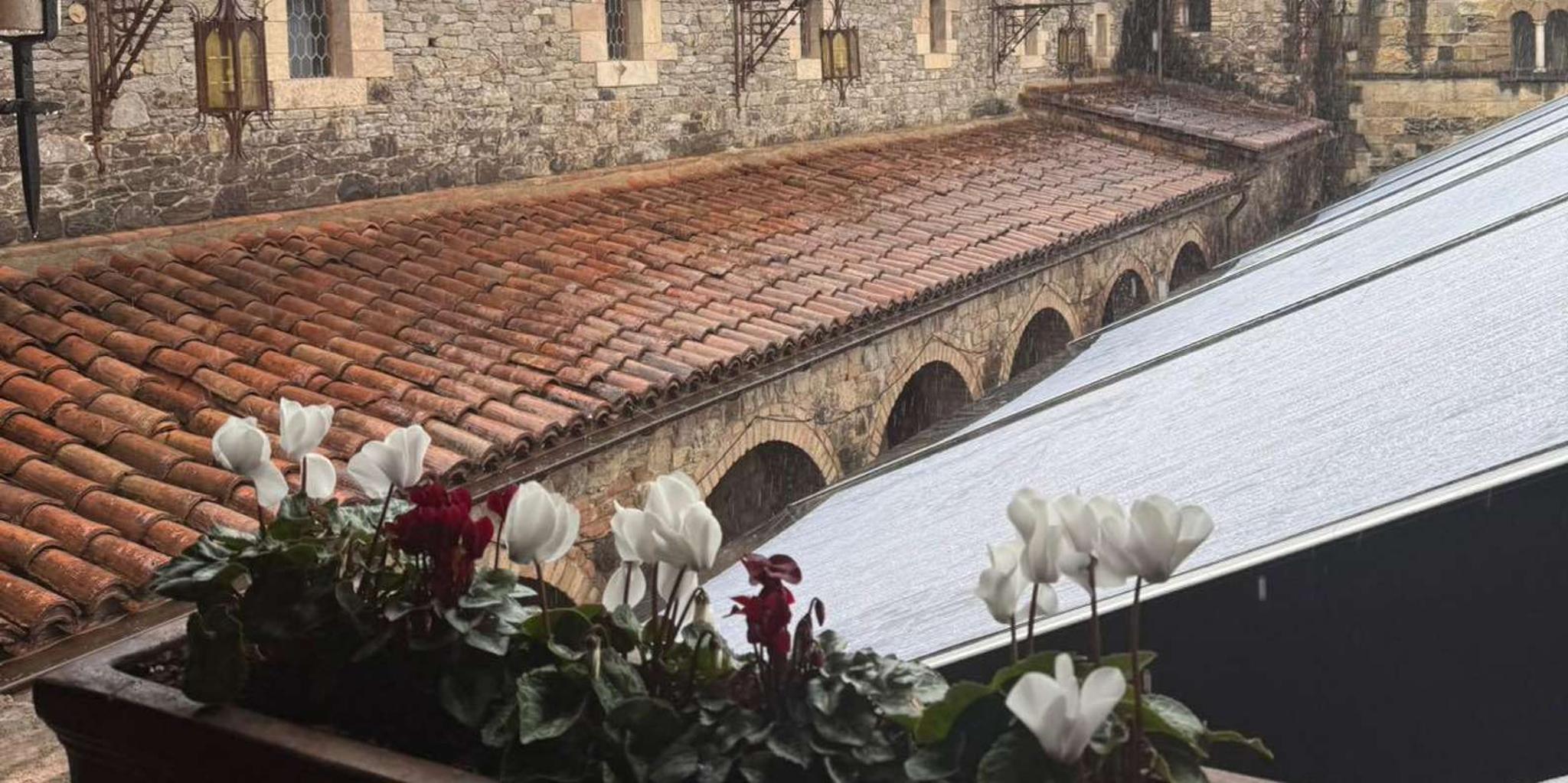 San Francisco Napa Valley Winery Tour - Image 4