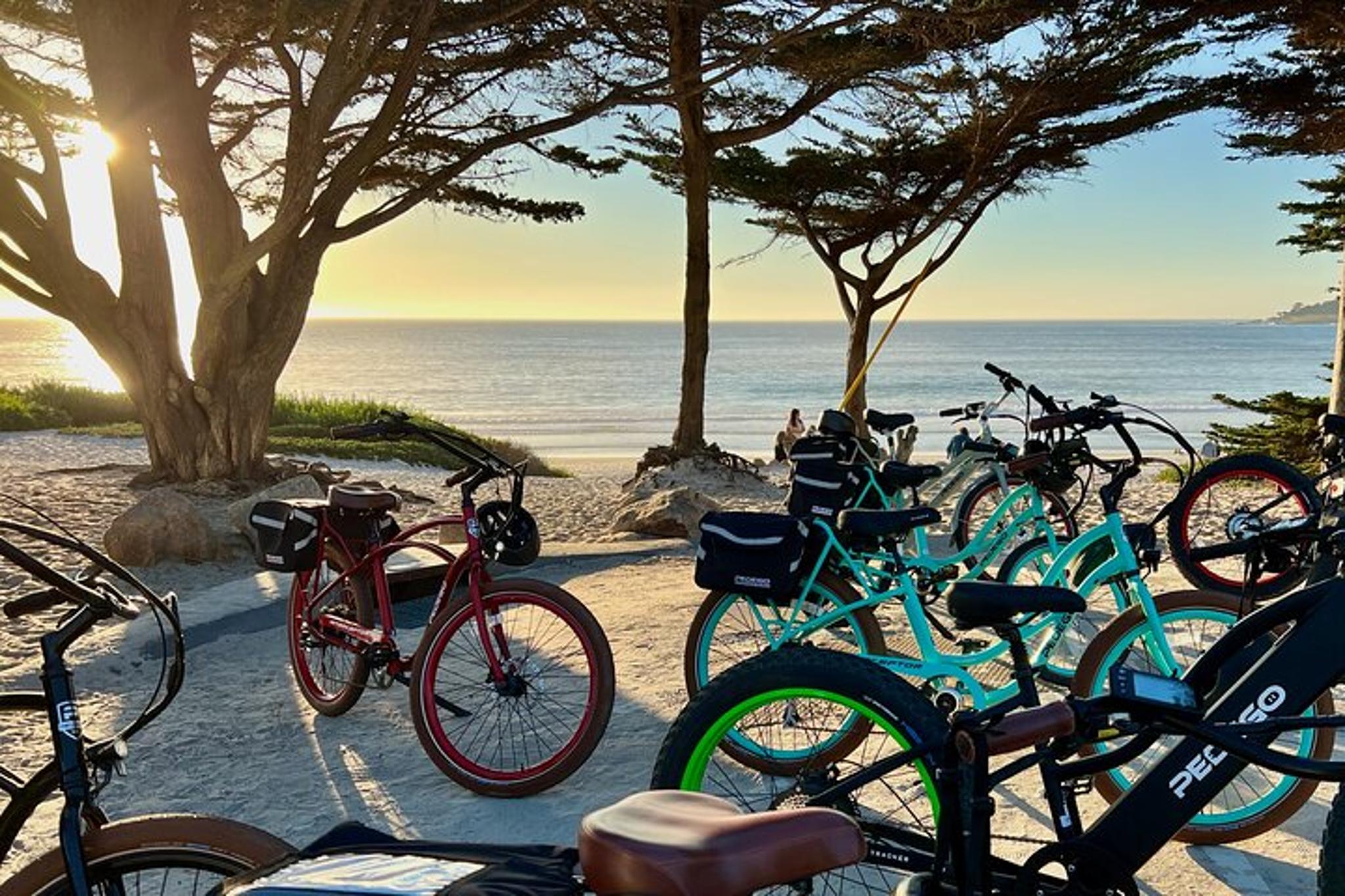 Monterey Electric Bike Rental on 17 Mile Drive - Image 2