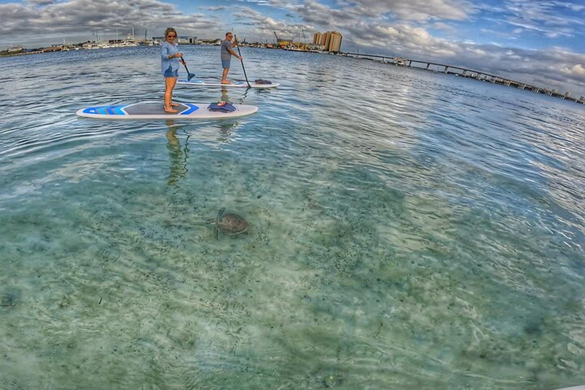 Peanut Island Paddle Boarding Tour - Image 5