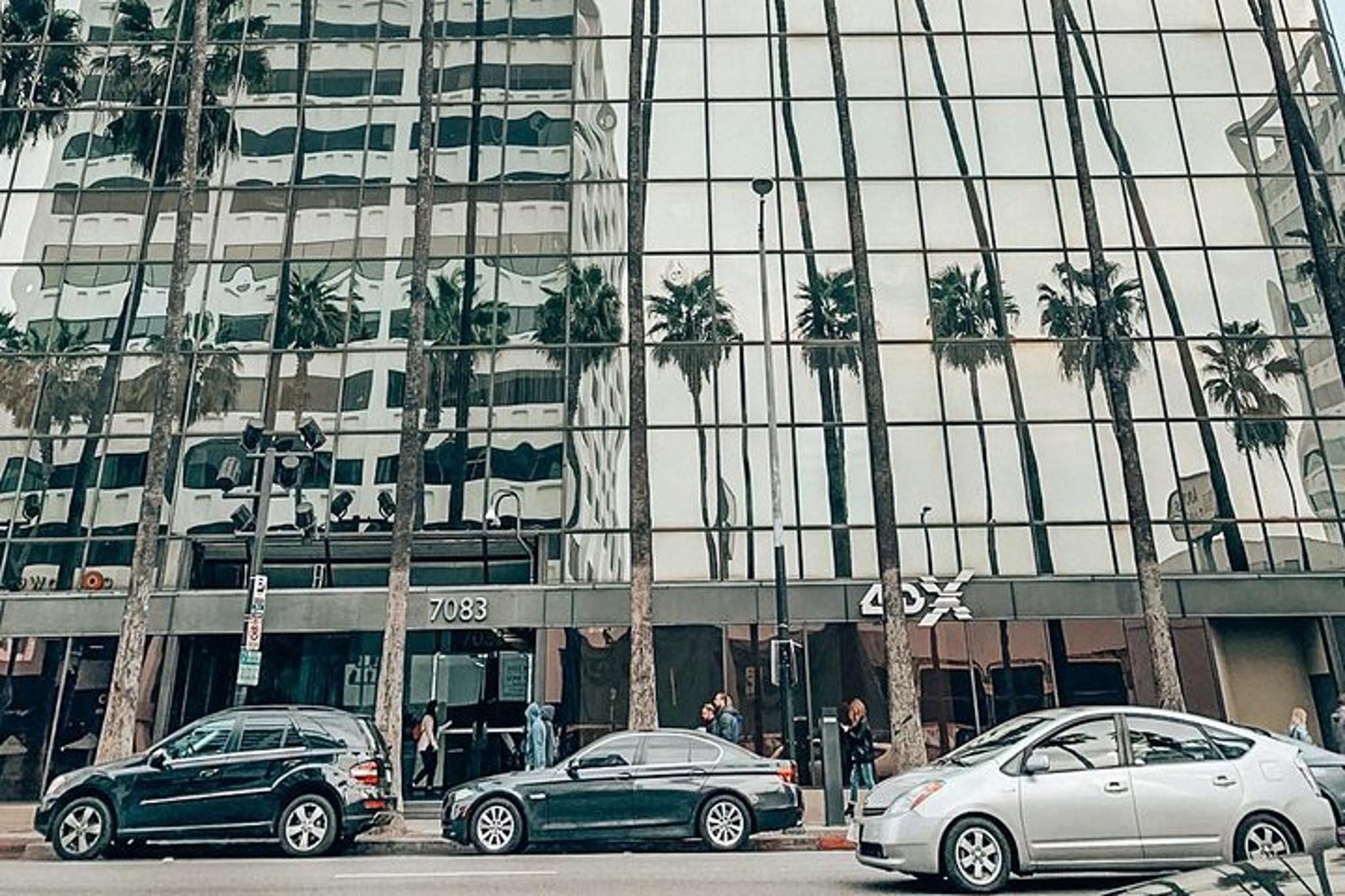 Los Angeles Private Tour: Hollywood and Rodeo Drive - Image 3