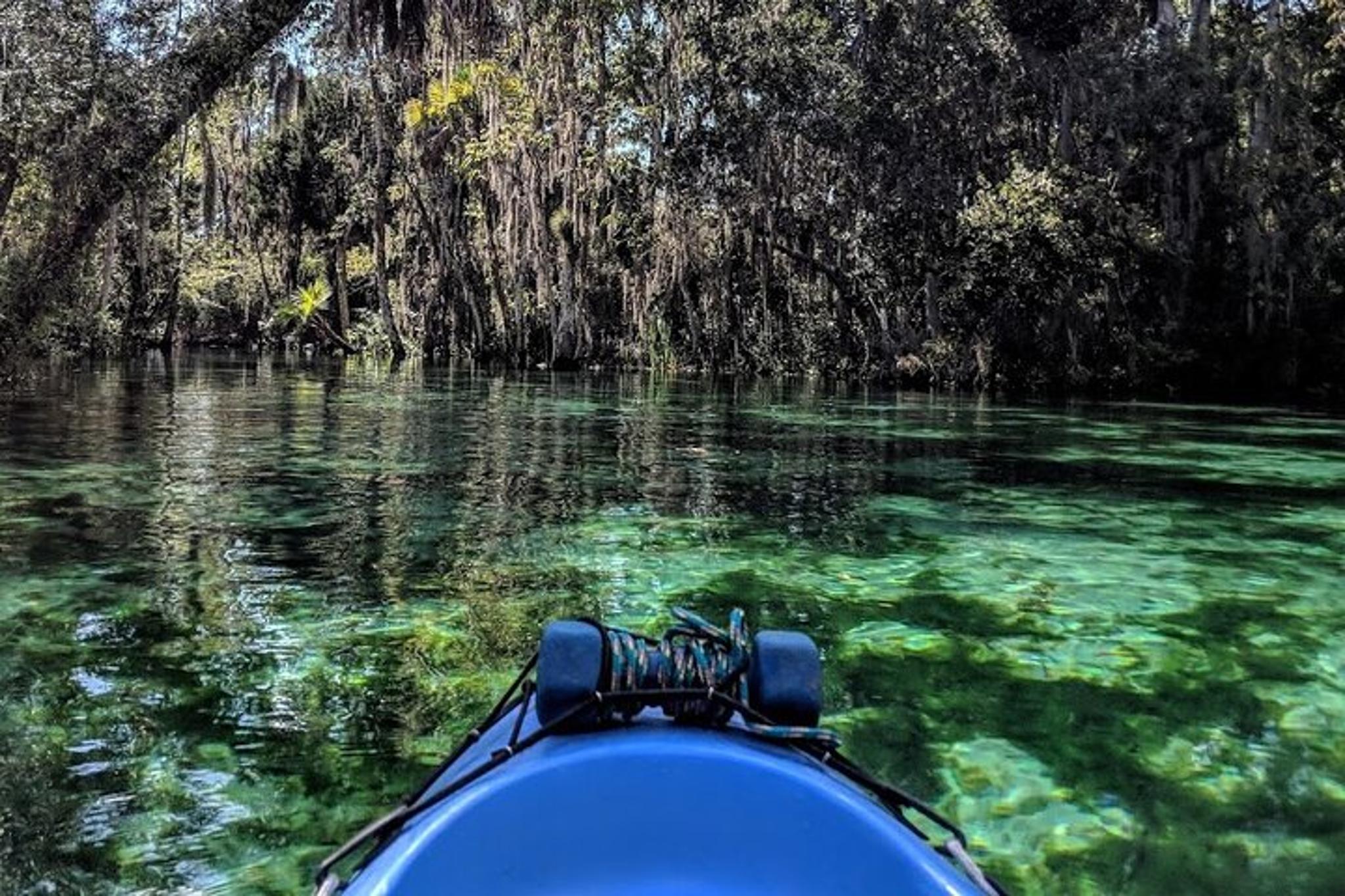 Crystal River Tandem Kayak Rental with Manatees 4 hr - Image 3