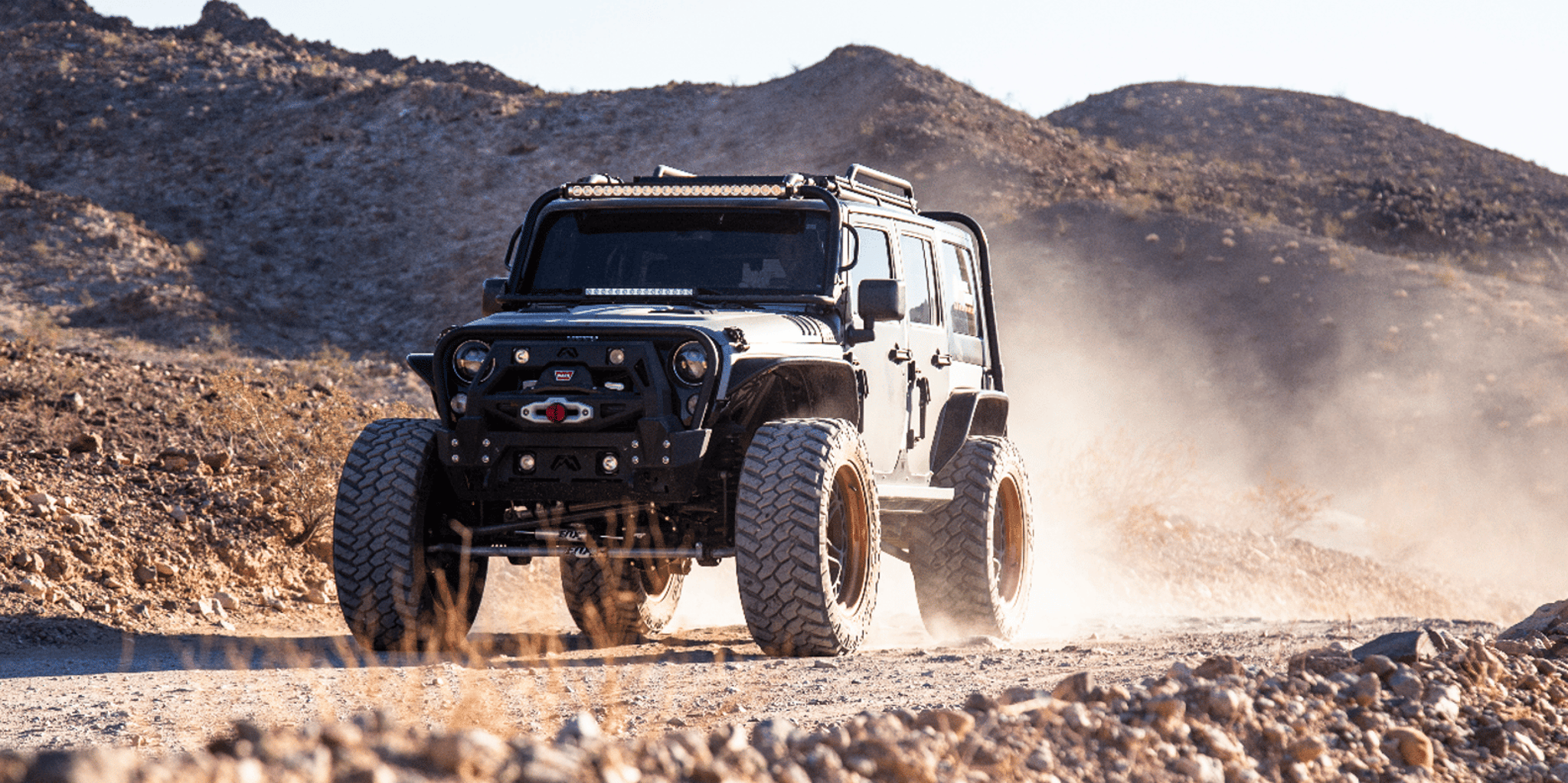 Las Vegas Off-Road Adventure with Wildlife and Ghost Towns - Image 2