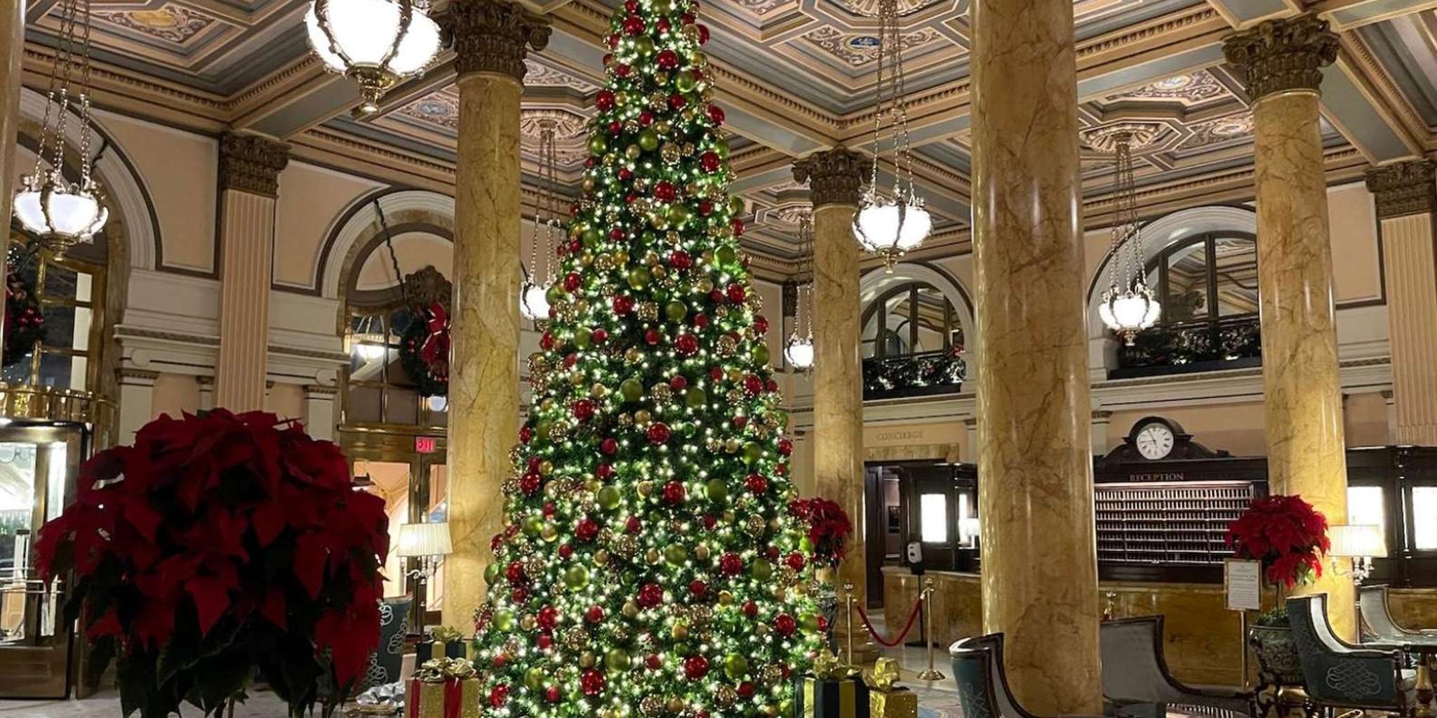 Washington DC Holiday Walking Tour with Hot Cocoa - Image 4