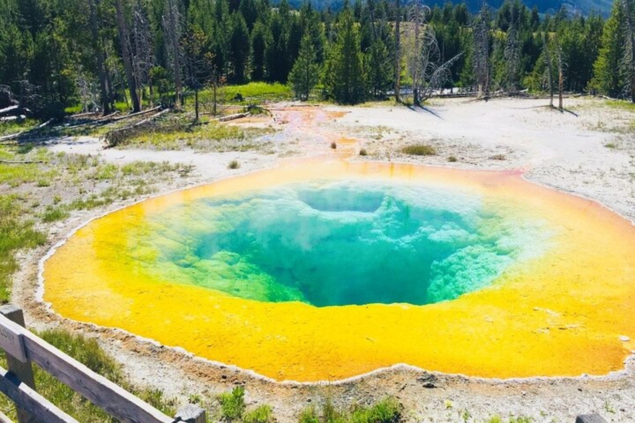 Los Angeles to Yellowstone National Park Tour 7 Days - Image 5