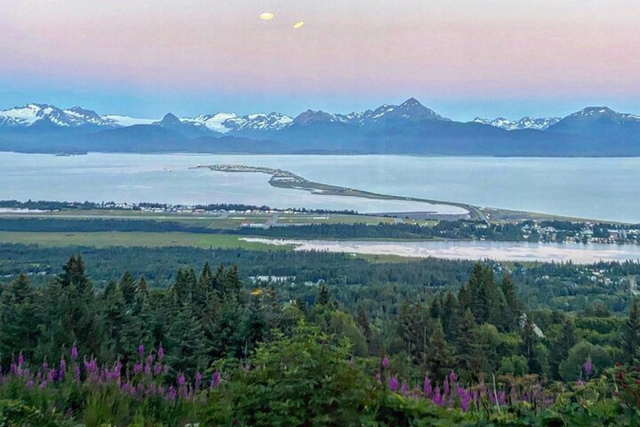 Homer Wilderness, Wildlife and Beach Tour