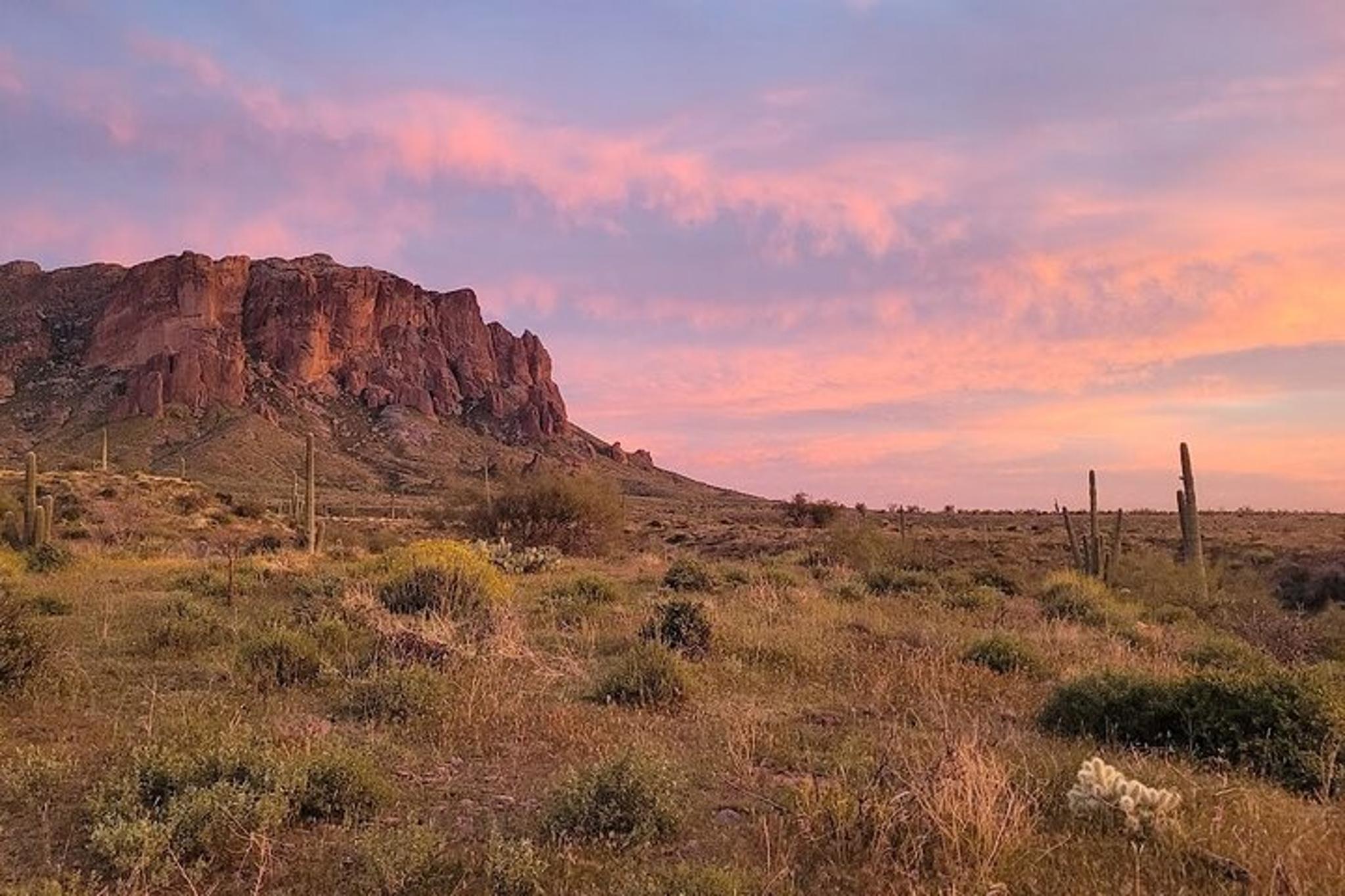 Arizona Desert Night Sky Tour - Image 5