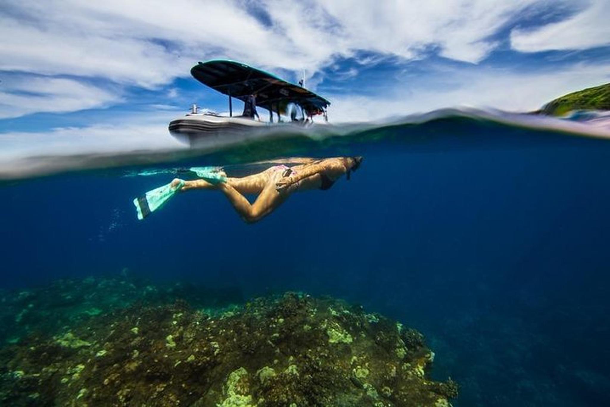 Kona Coast Snorkeling Tour with Lunch - Image 6