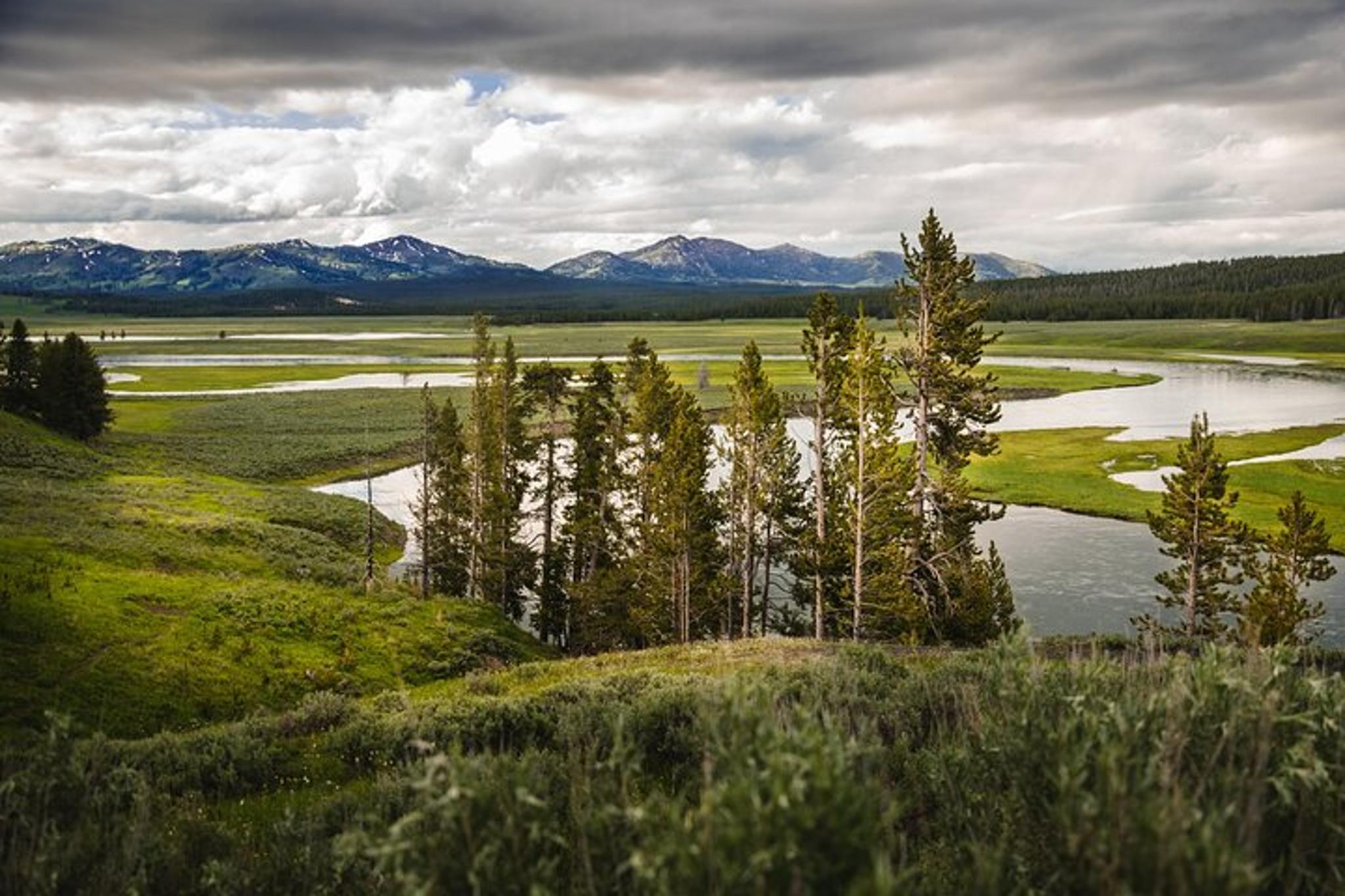 Yellowstone National Park Private Tour - Image 4