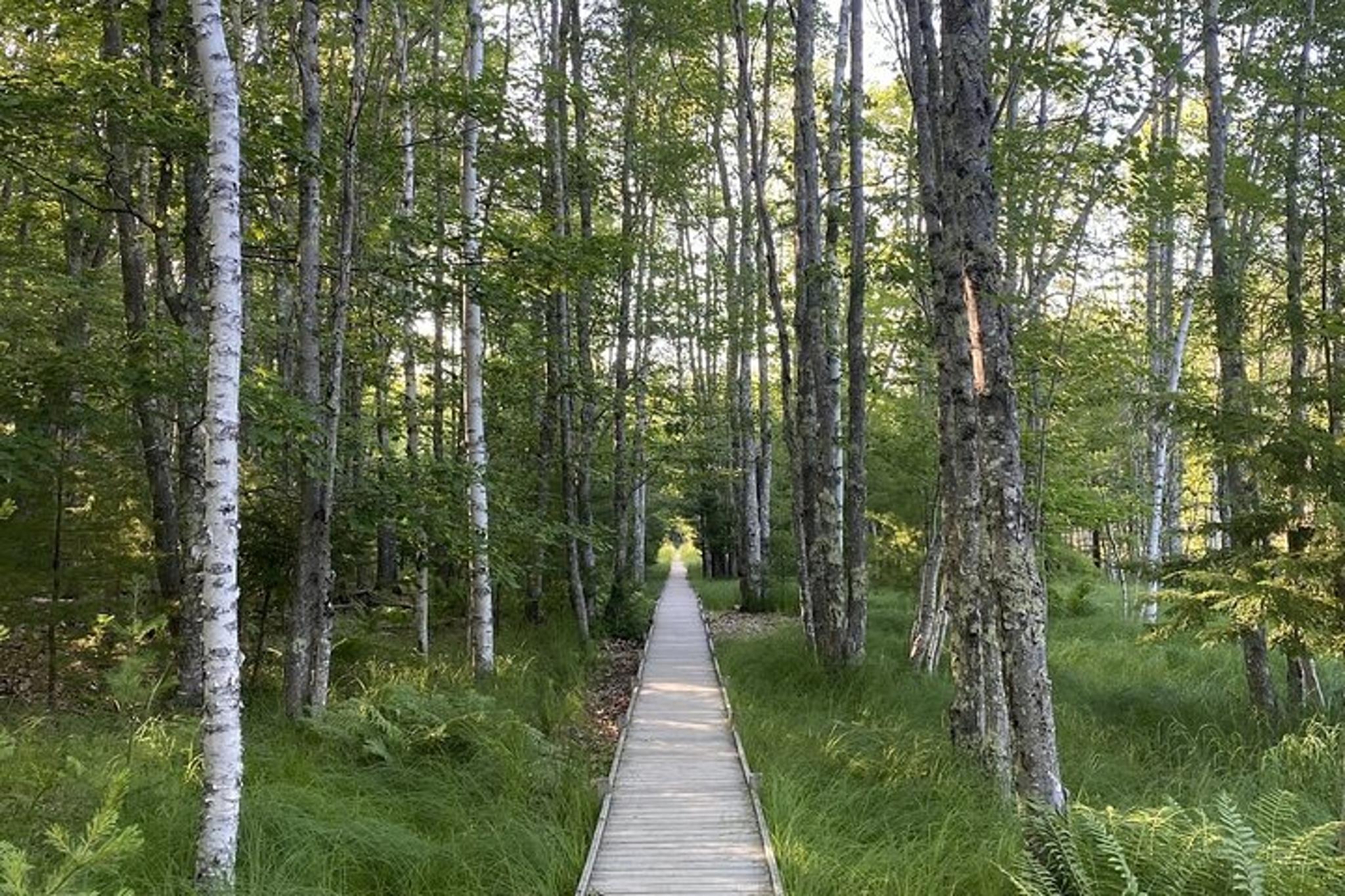 Bar Harbor Private Guided Tour of Acadia National Park - Image 4