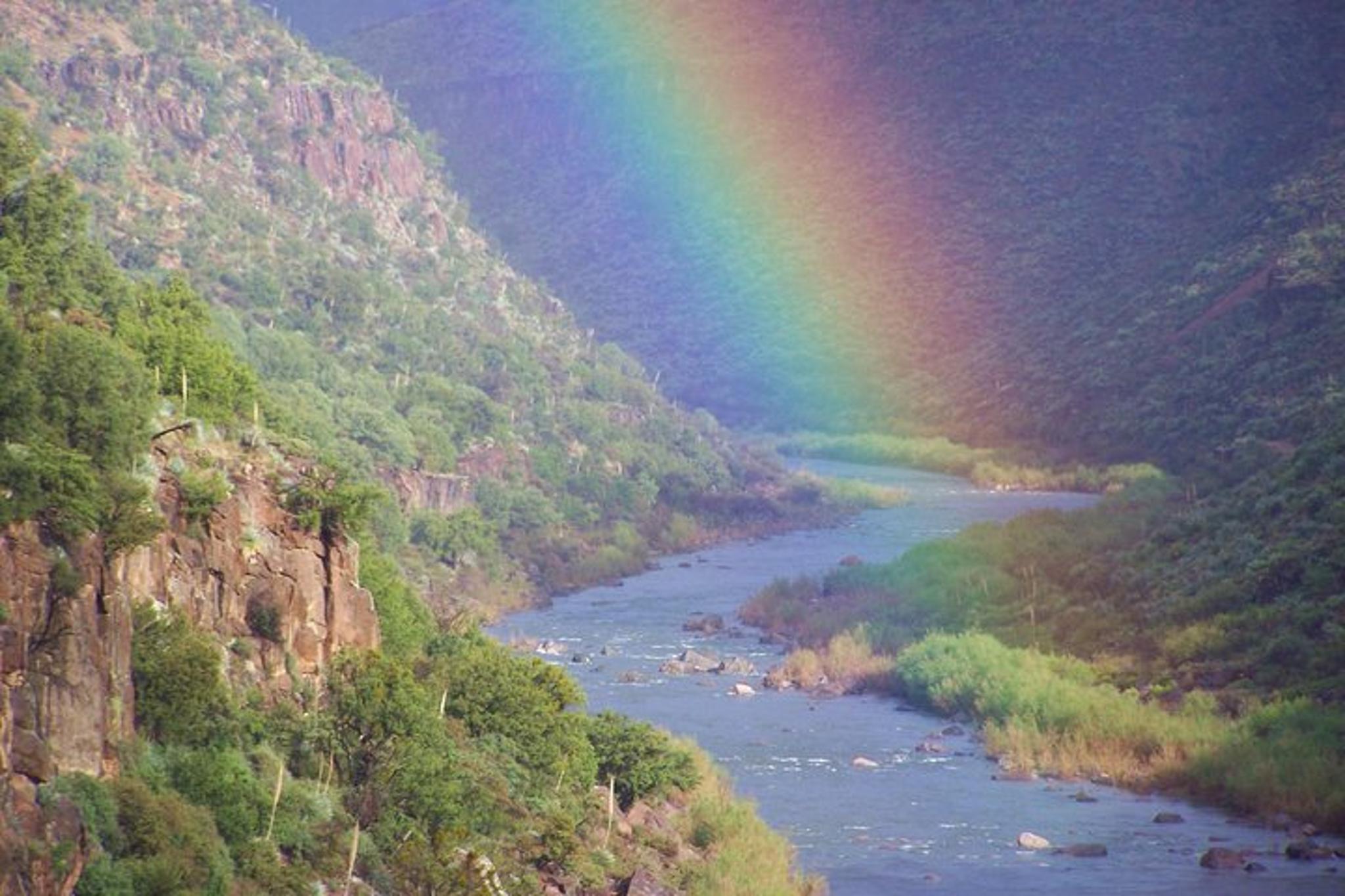 Phoenix Salt River Raft Trip - Image 5