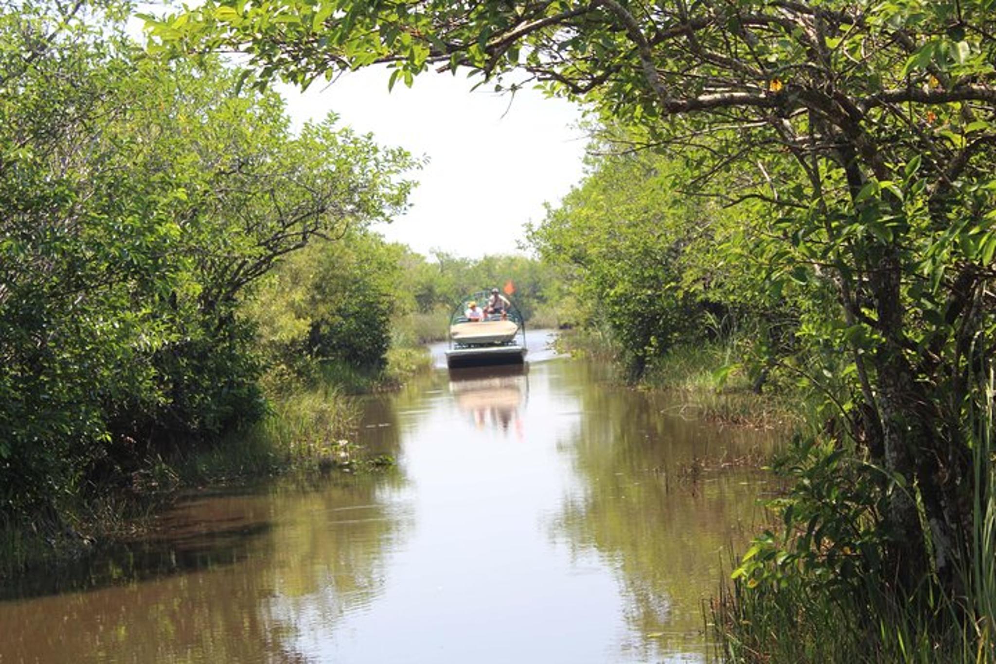 Miami Everglades Tour with Pickup 7.5 hr