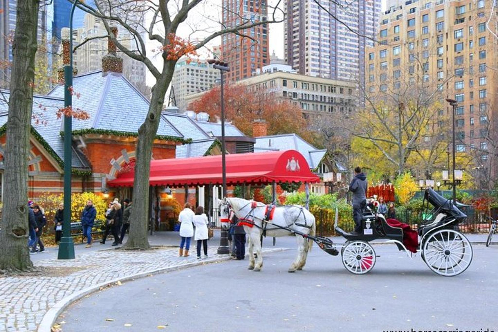New York City Horse Carriage Tour Central Park - Image 3