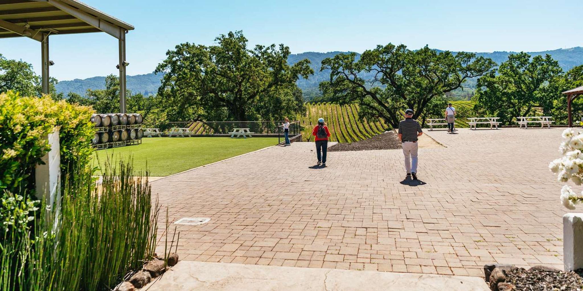San Francisco Sonoma Wine Tour with Tastings - Image 6