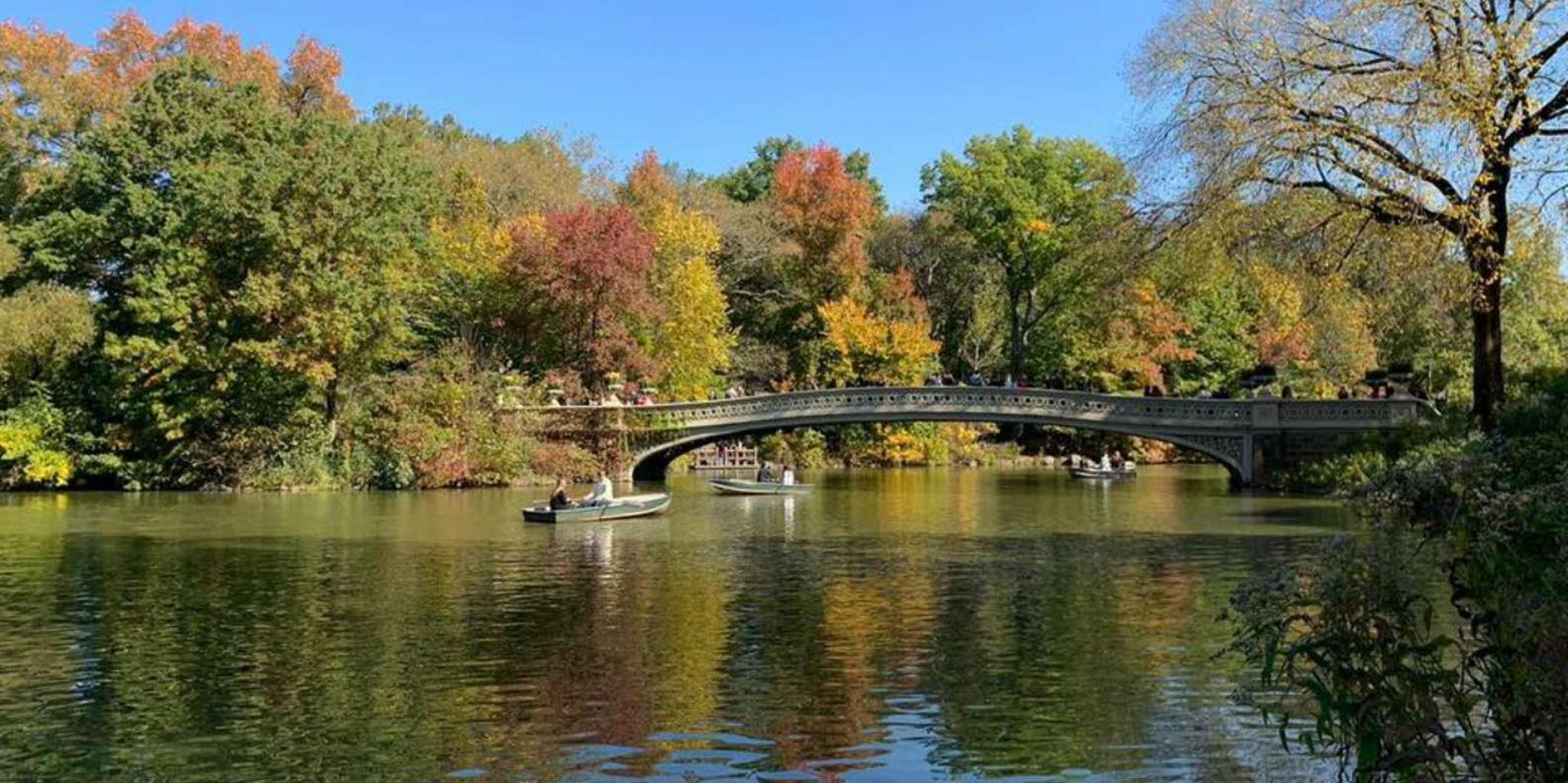 New York Central Park Walking Tour - Image 5