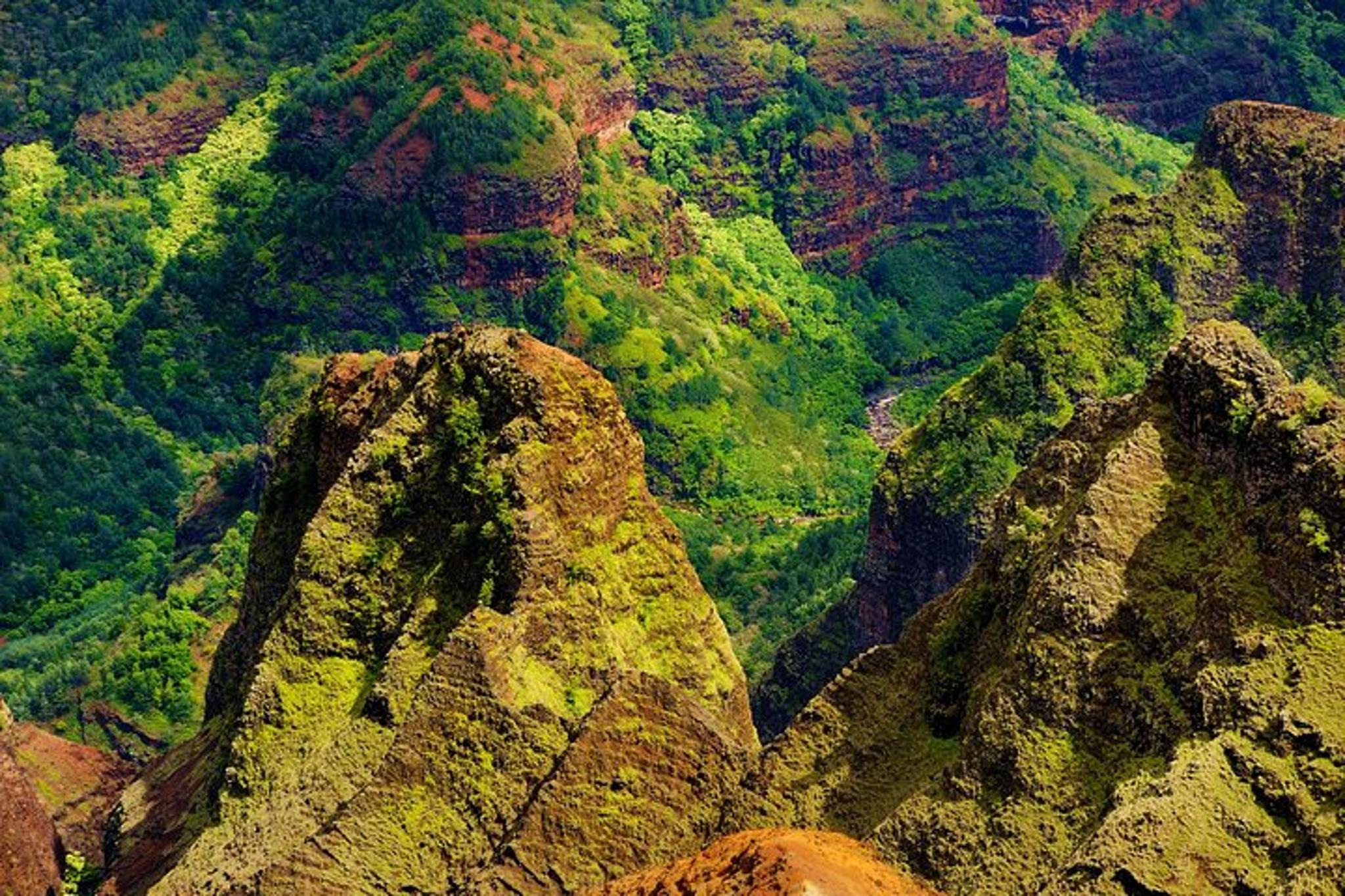 Kauai Waimea Canyon and South Side Tour - Image 2