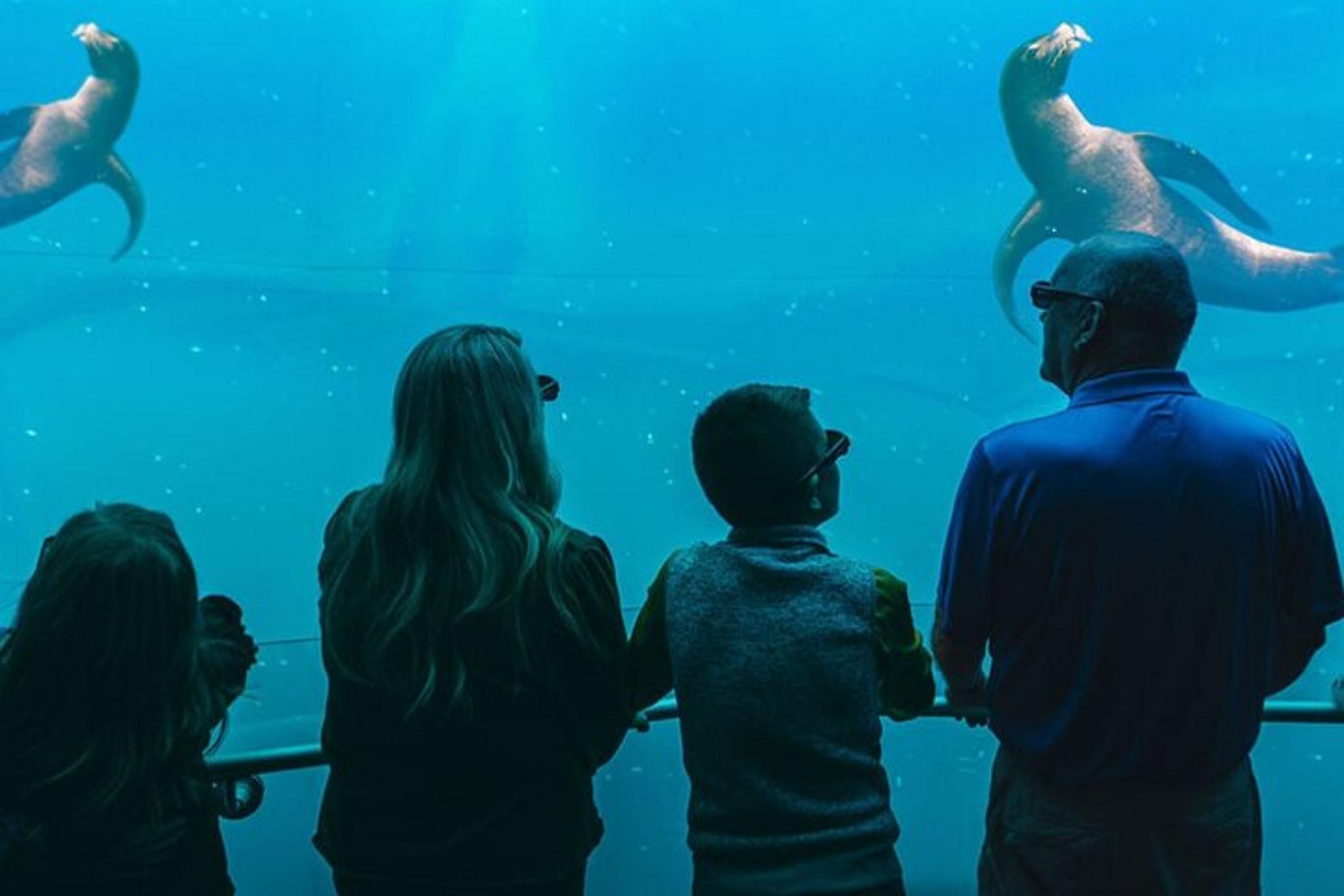 Sevierville Digital Ocean Adventure - Image 2