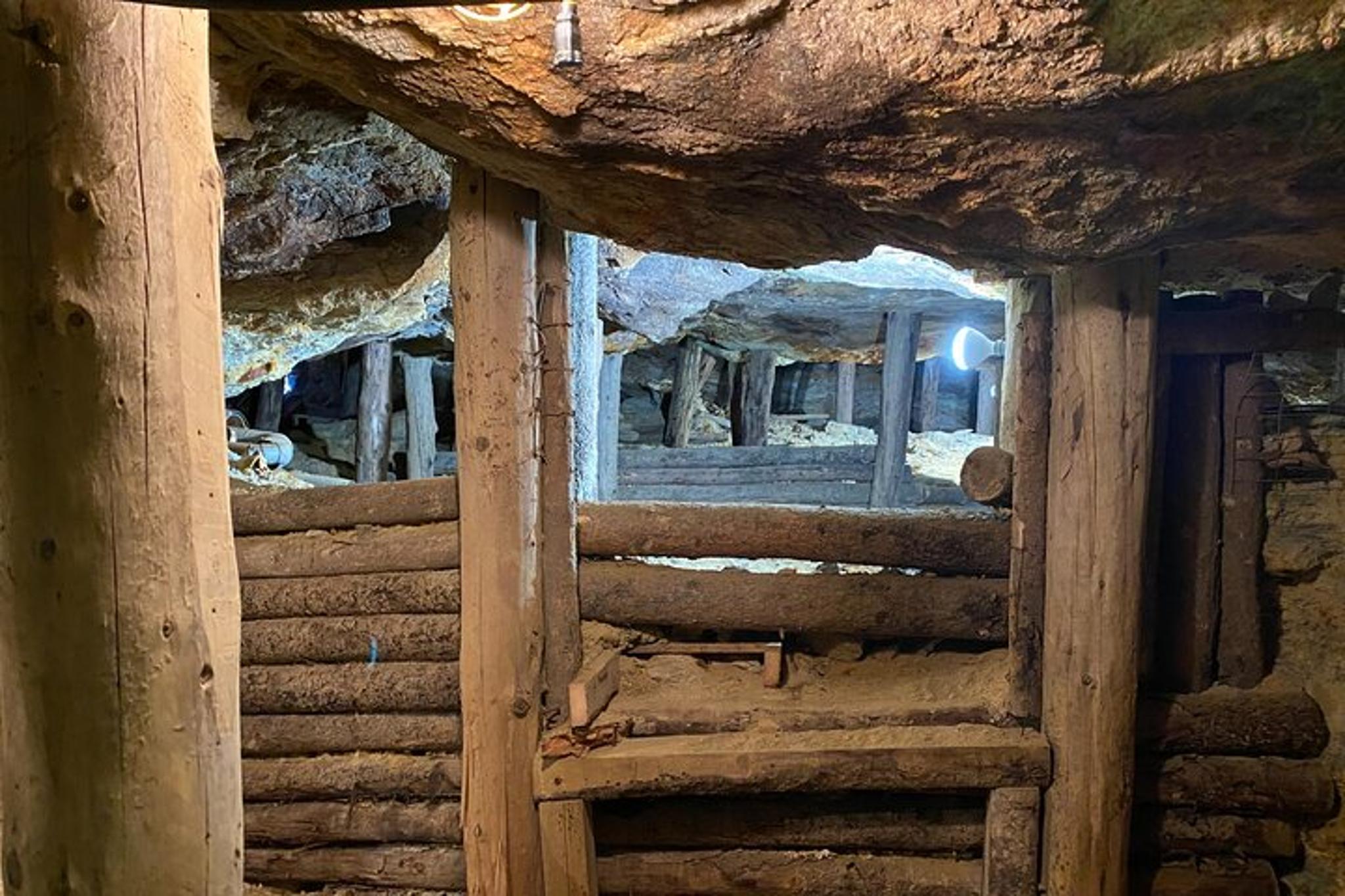 Denver Mountain and Mine Half-Day Tour