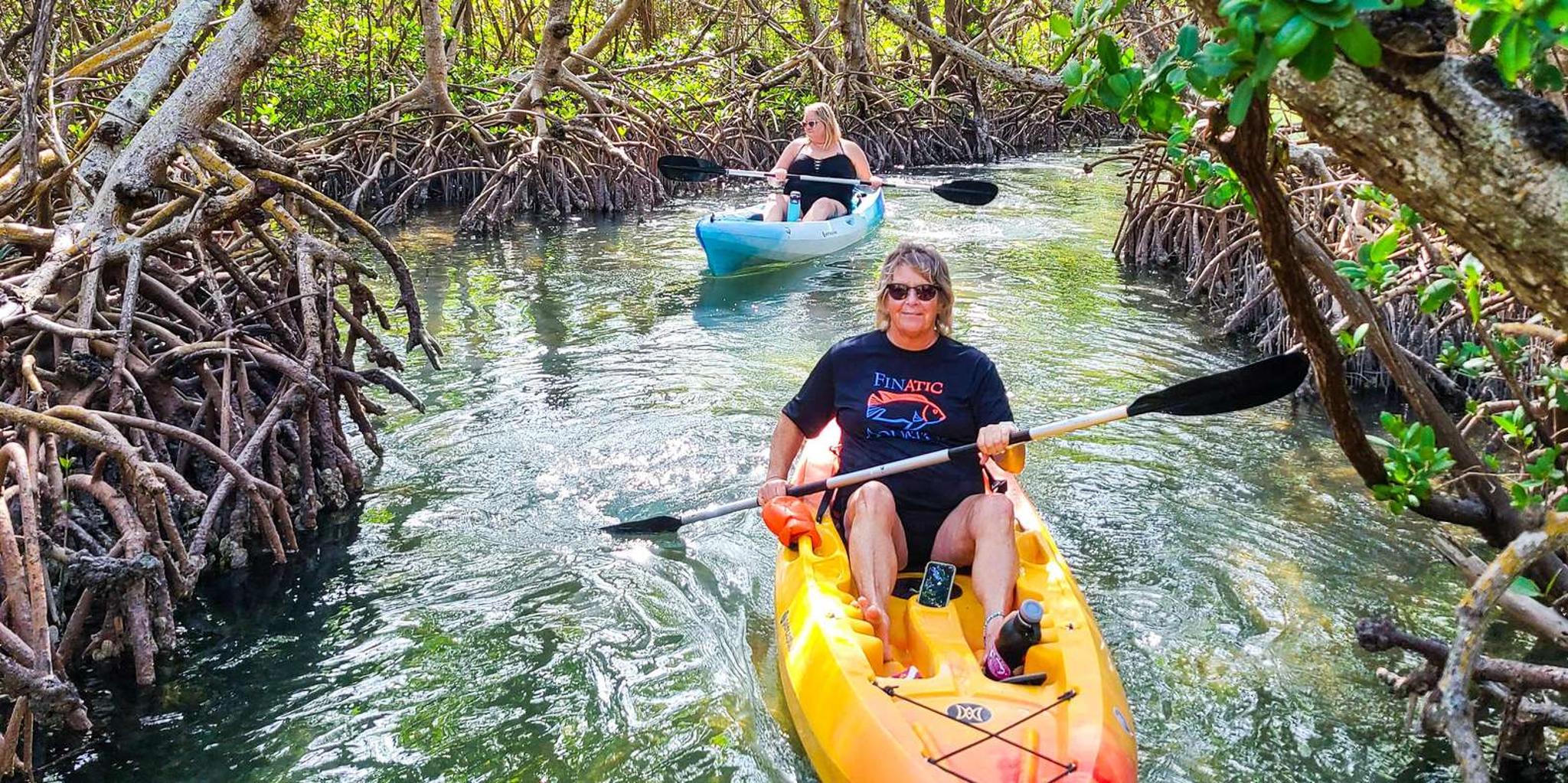 Sarasota Lido Key Mangrove Tunnel Kayak Tour 2 hr