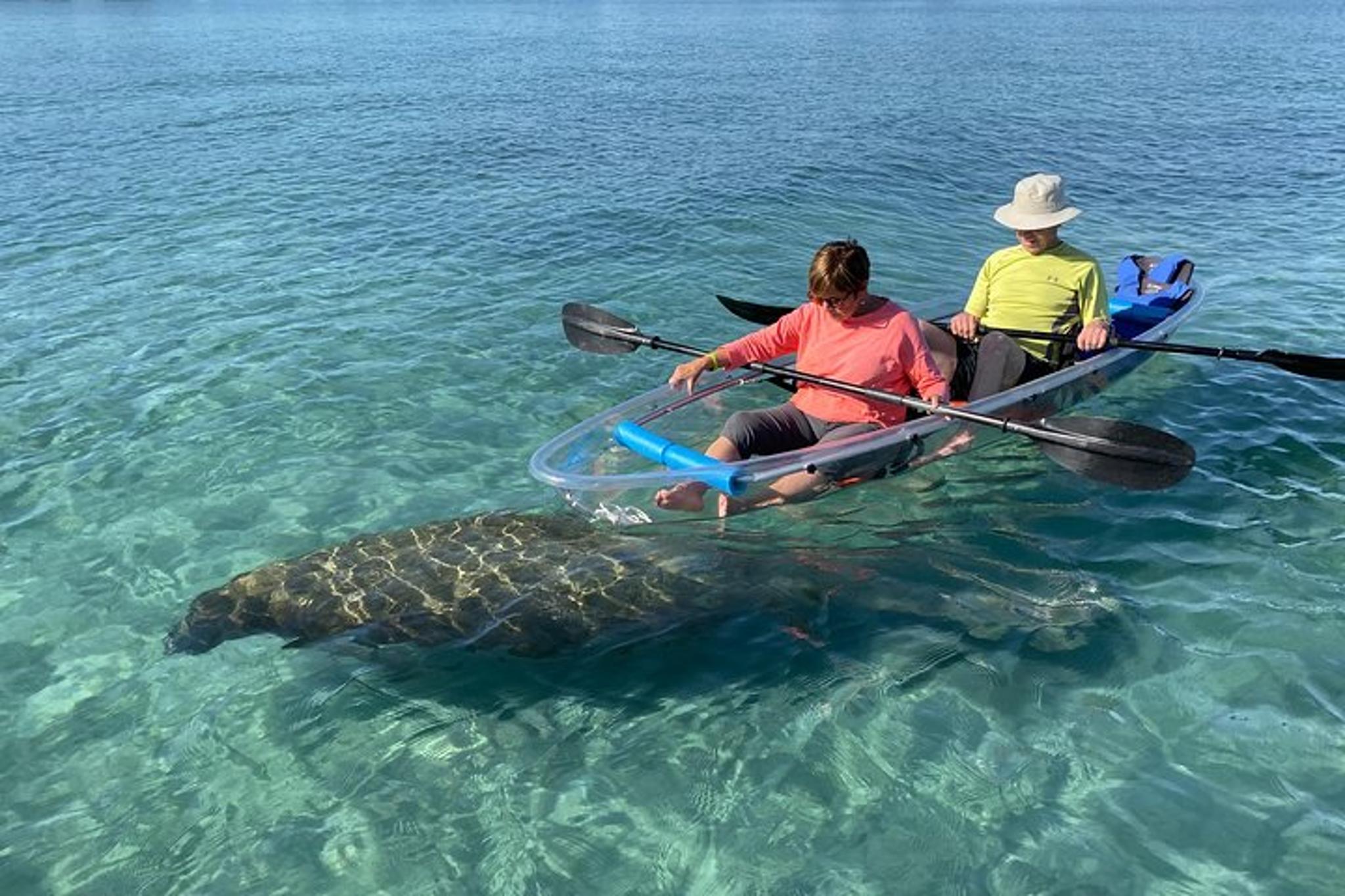 Jupiter Clear Kayak Eco-Tour