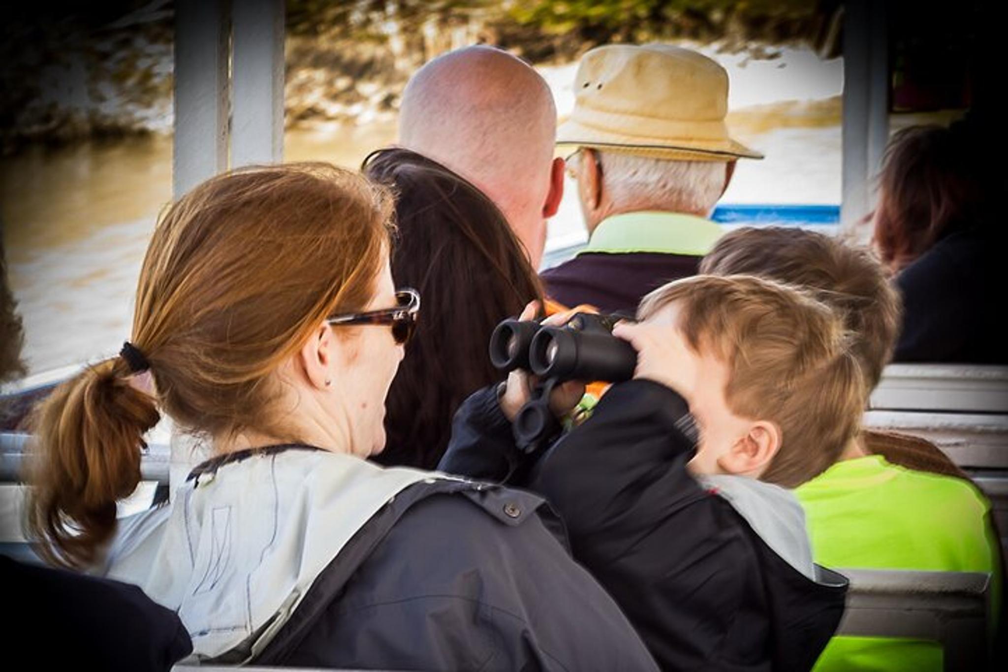 Indian River Lagoon Dolphin Boat Tour - Image 4