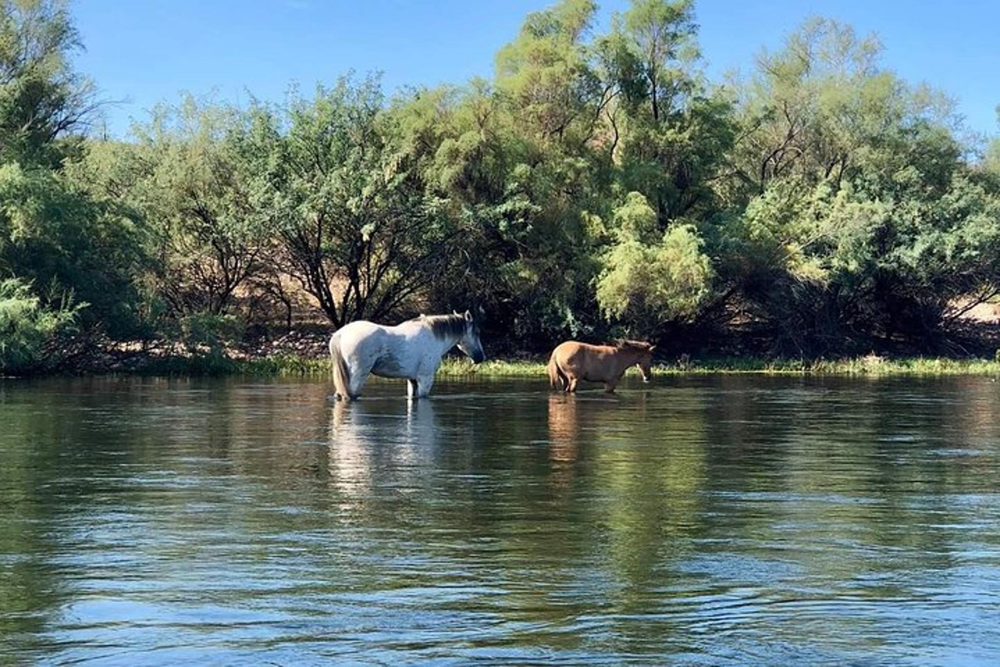 Tempe Inflatable Kayak Rental Full-Day - Image 5