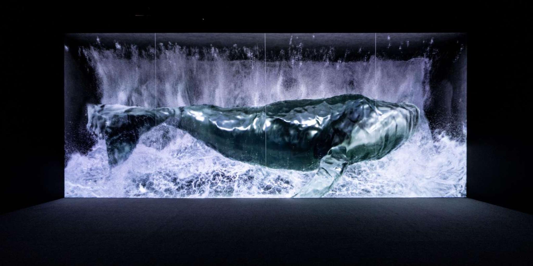 Las Vegas Arte Museum Immersive Art Exhibition - Image 6