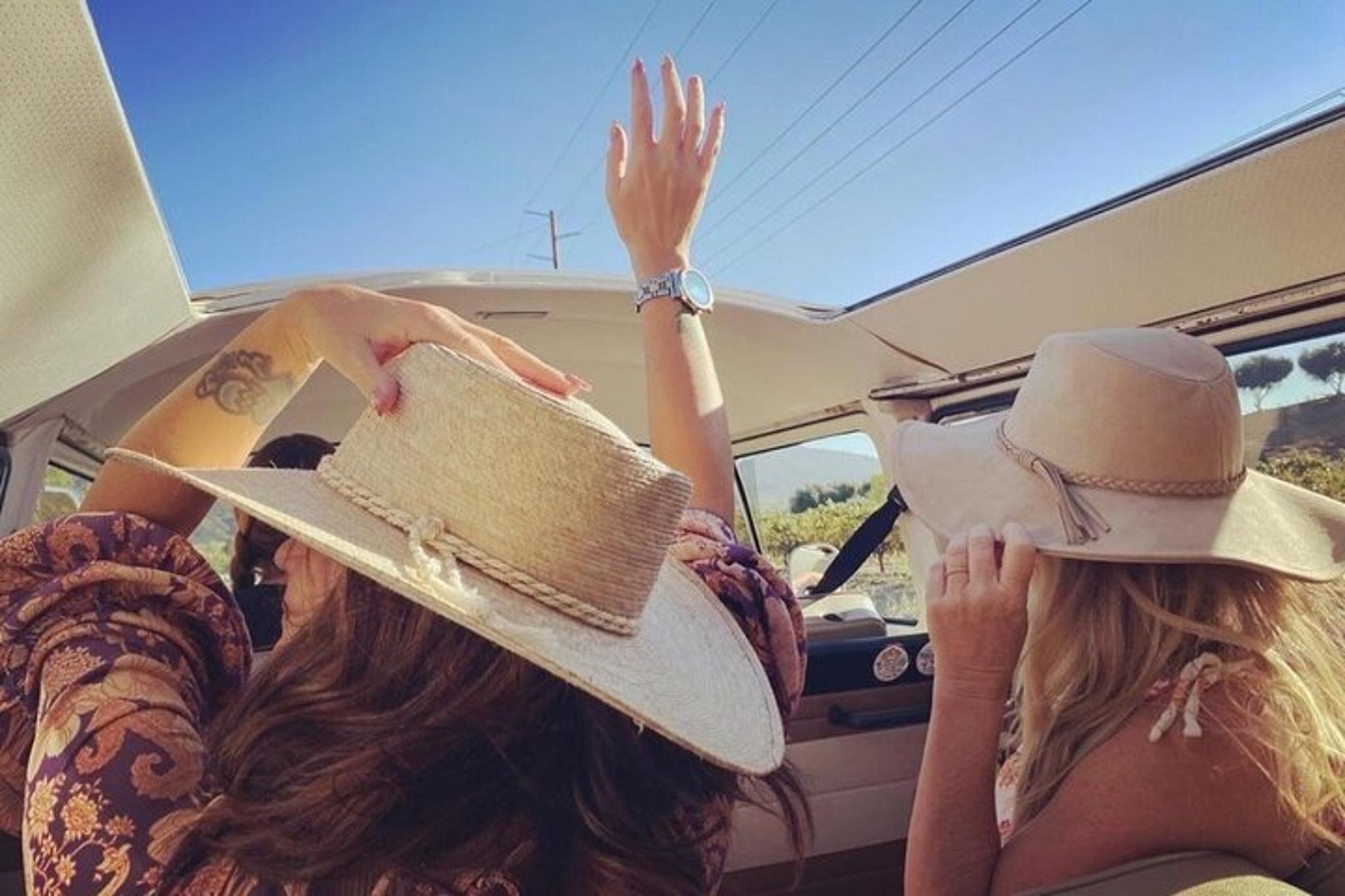Temecula VW Bus Wine Tour - Image 5
