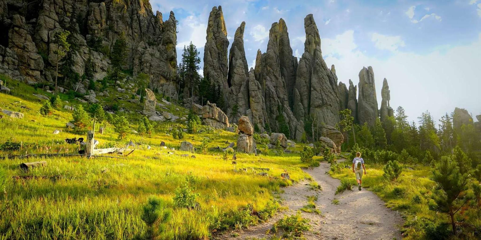 Rapid City Mt Rushmore, Crazy Horse, and Custer State Park Tour