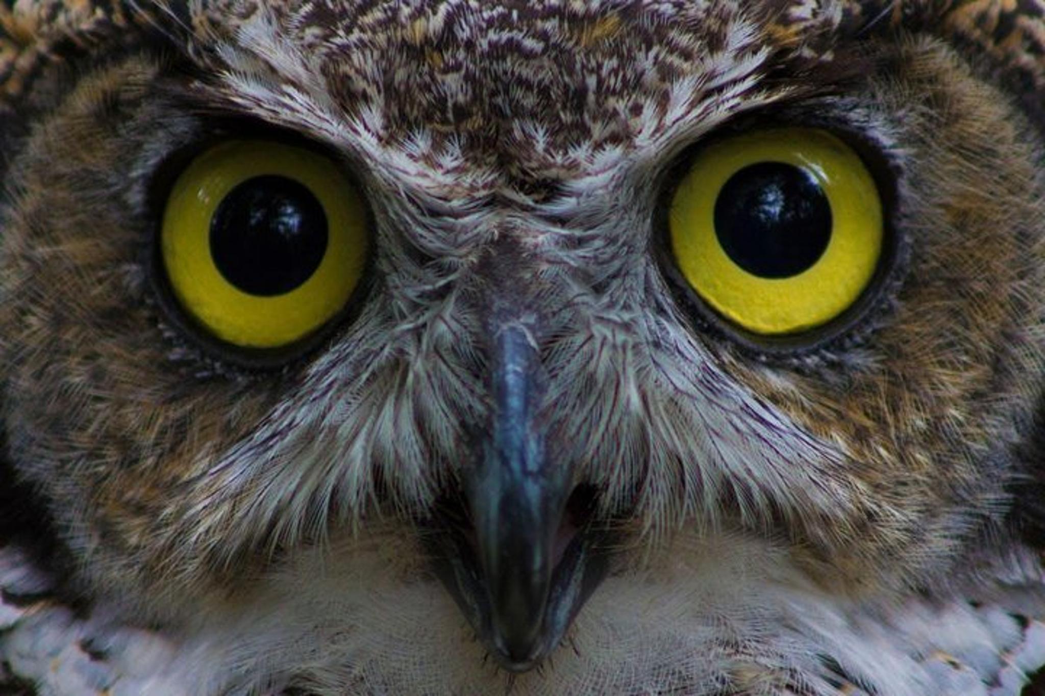 Sitka Scenic Tour - Image 4