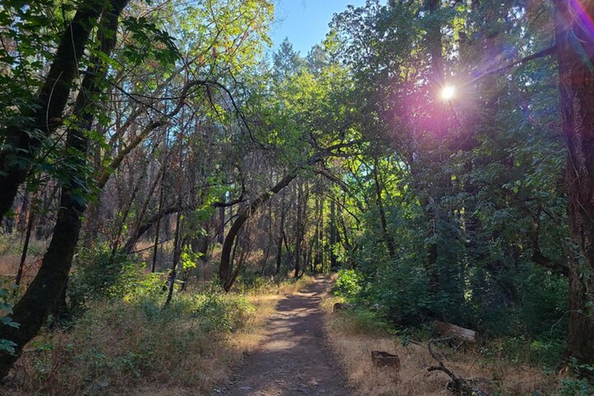 Sonoma and Napa Valley Self-Guided Audio Driving Tour - Image 5