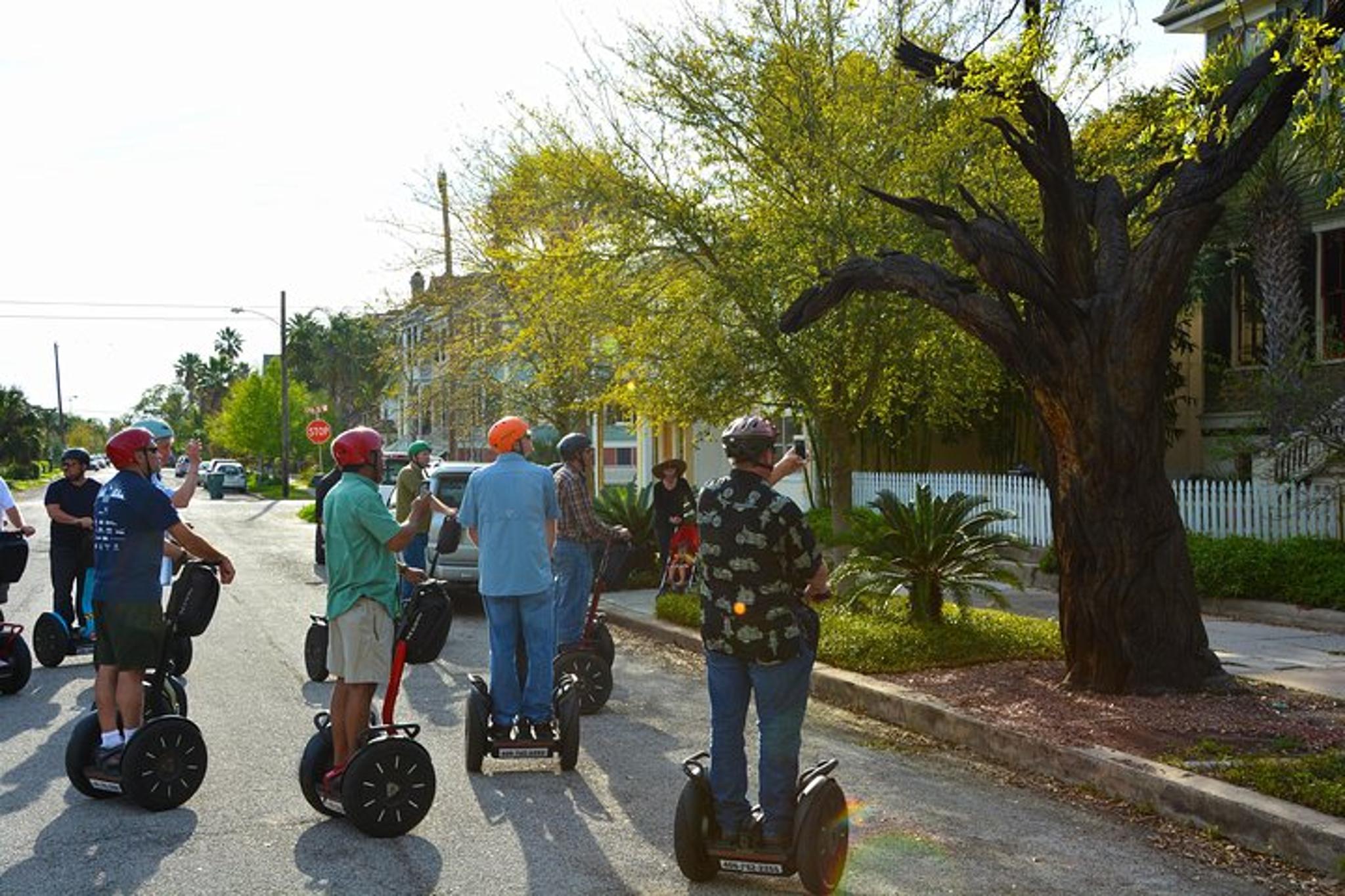 Galveston Tree Carvings Segway Tour 90 min - Image 2