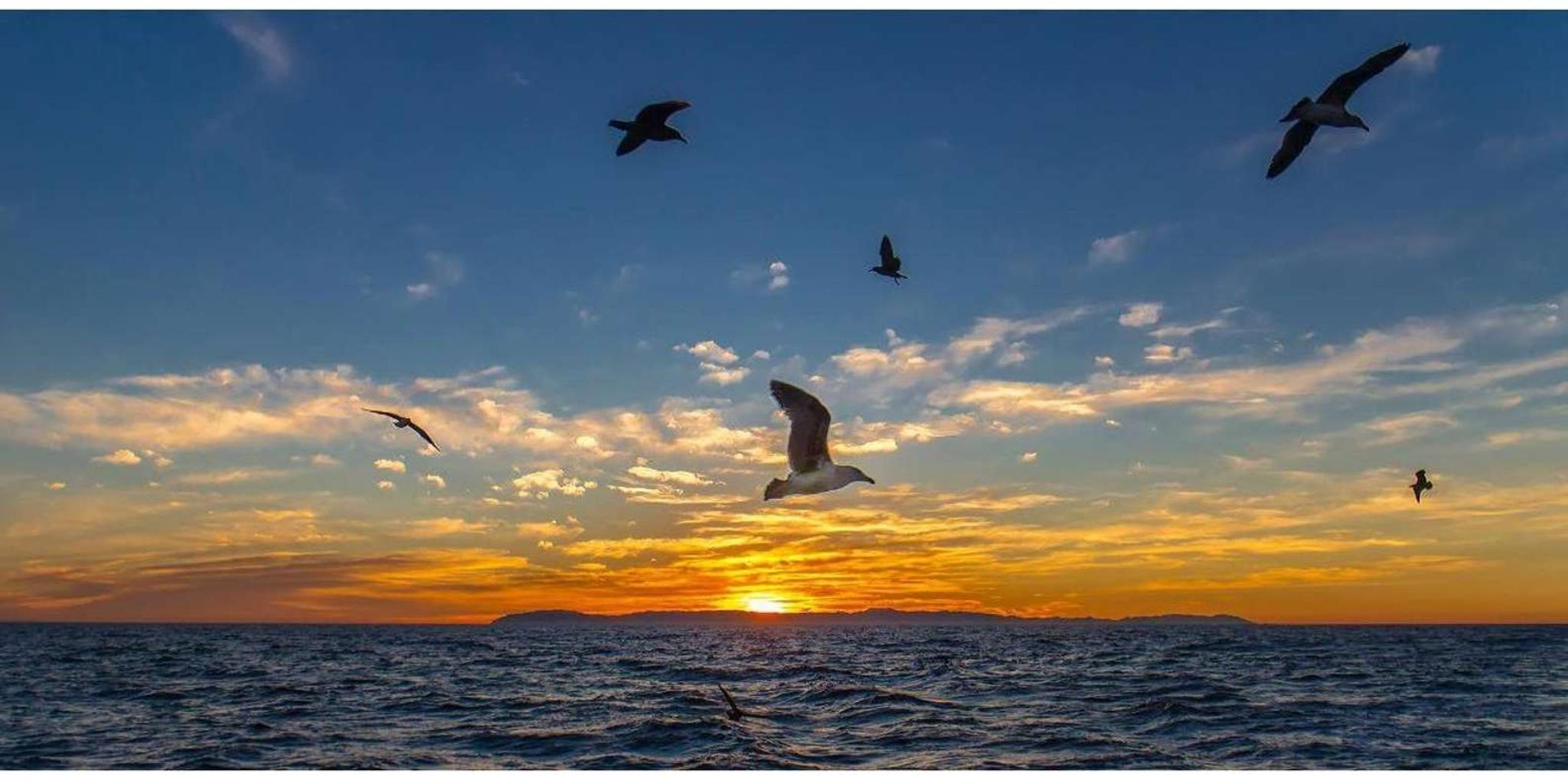 Newport Beach Sunset Cruise - Image 4