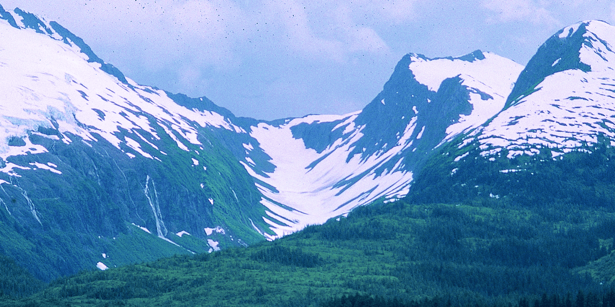 Anchorage Wilderness, Wildlife, and Glacier Experience - Image 4