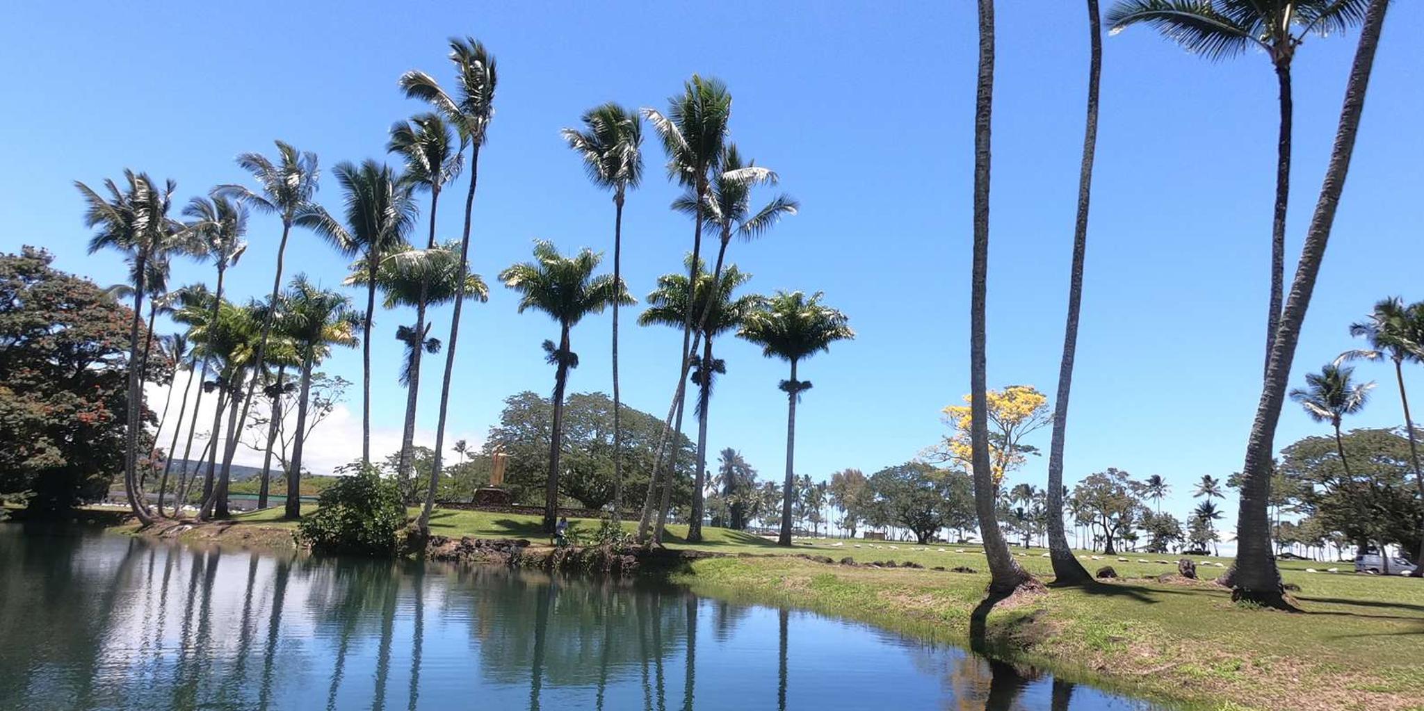 Hilo Wailoa River Kayak Tour to King Kamehameha Statue - Image 5