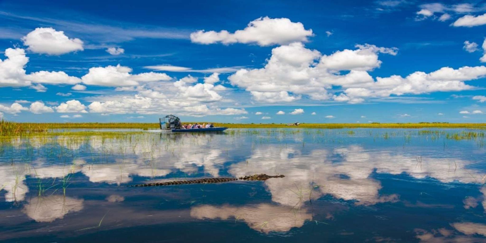 Miami Everglades Airboat Tour Small Group 4.5 hr - Image 5
