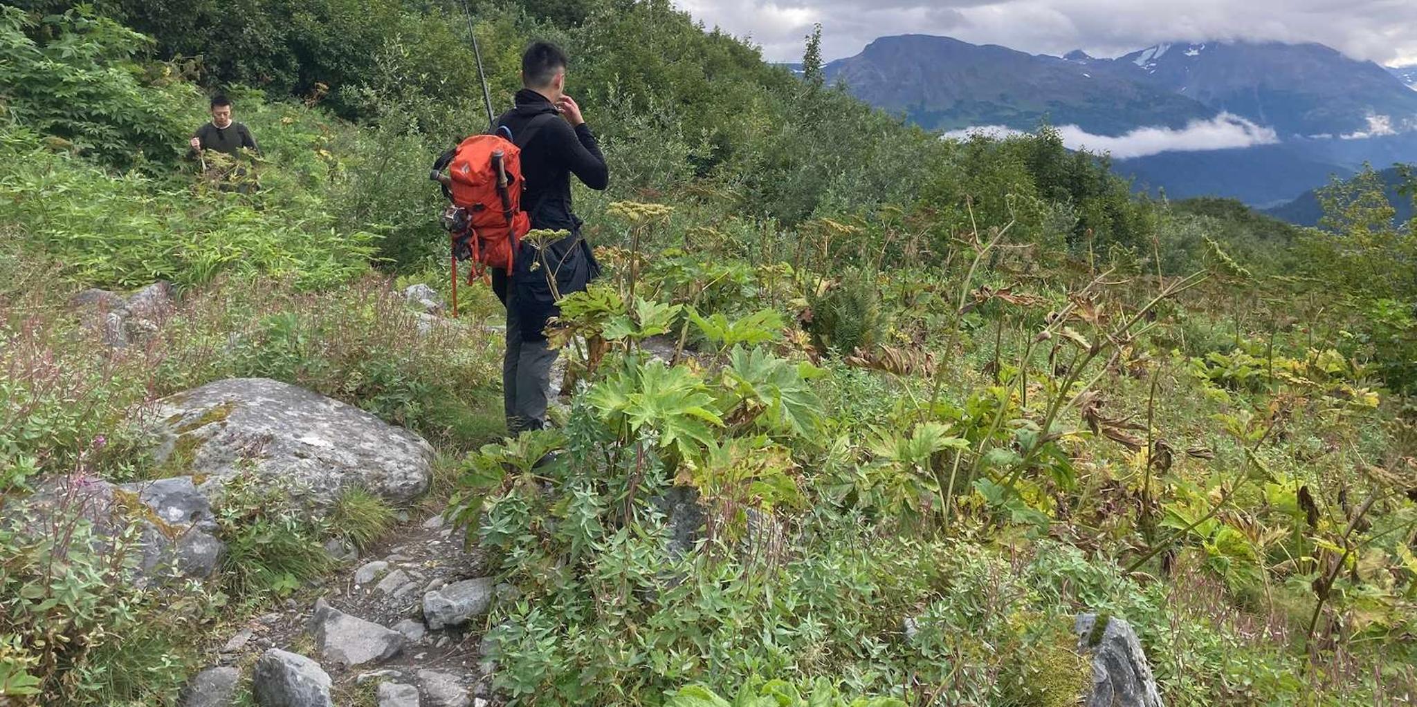 Seward Wilderness Hiking Tour - Image 3