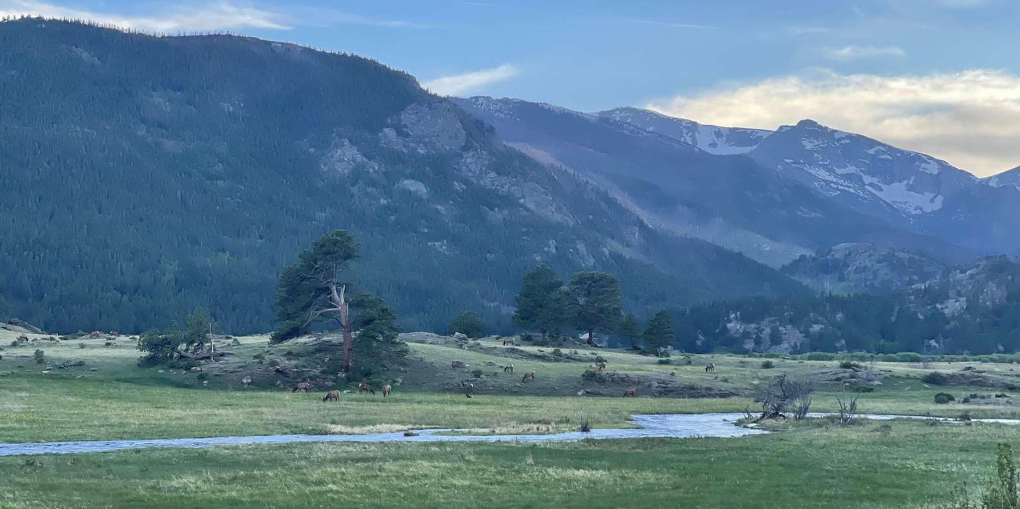 Estes Park Elk Rut Guided Tour 2 hr - Image 6