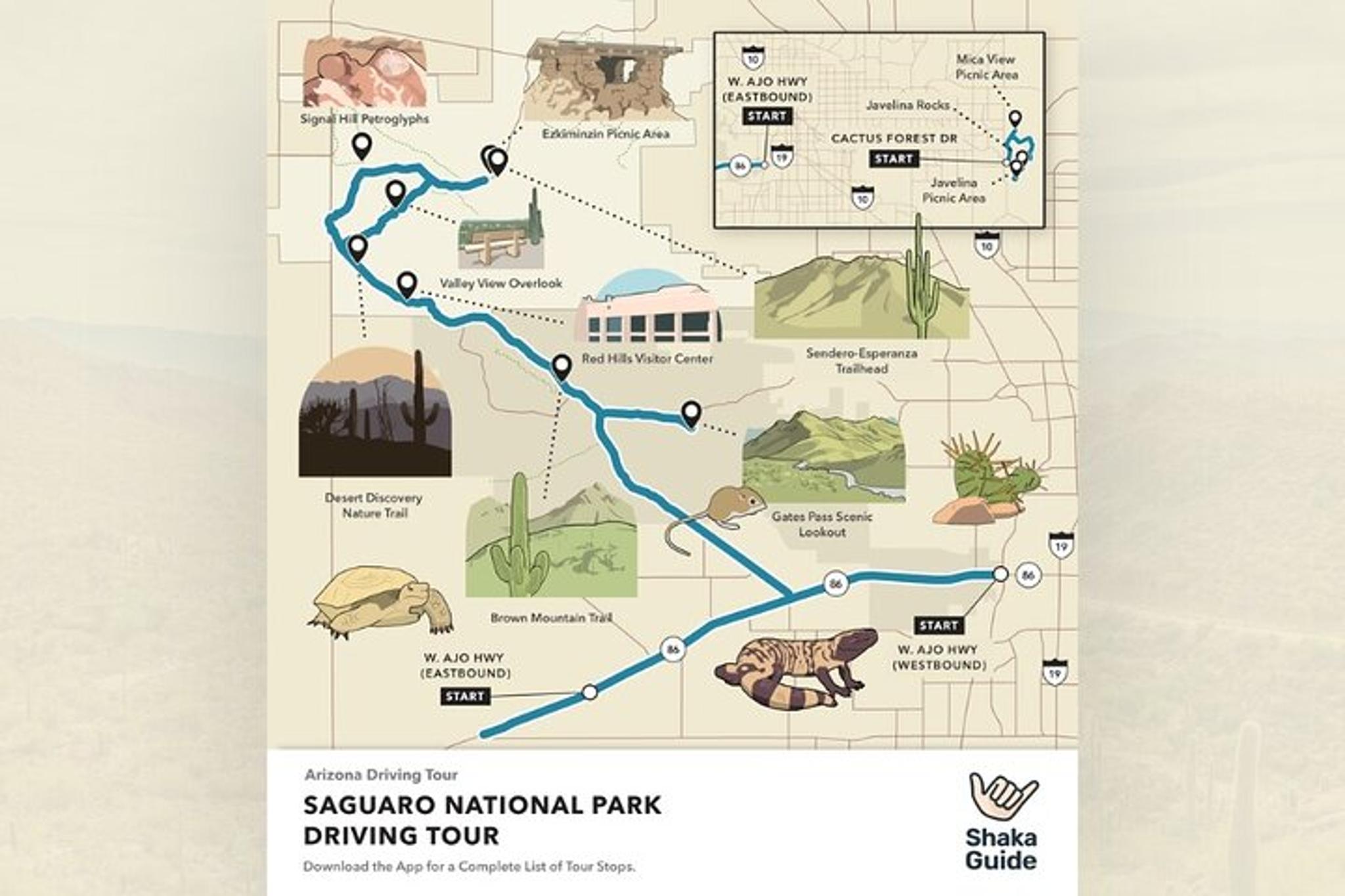 Tucson Saguaro National Park Self-Guided Audio Tour - Image 5