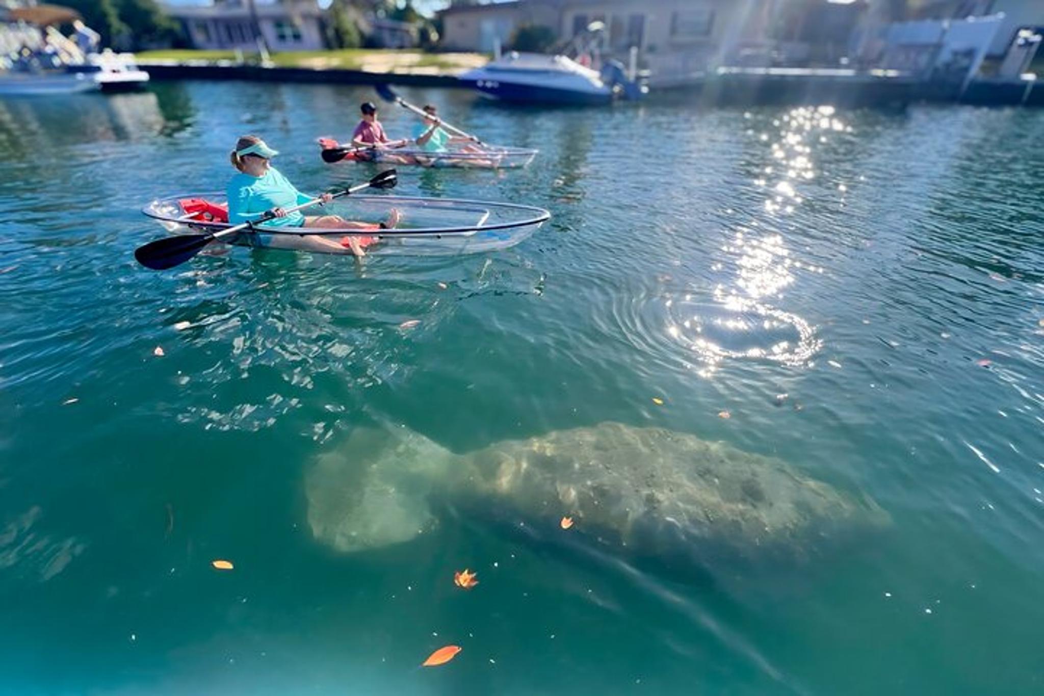 Crystal River Manatee Kayak Tour with Free Photos - Image 6
